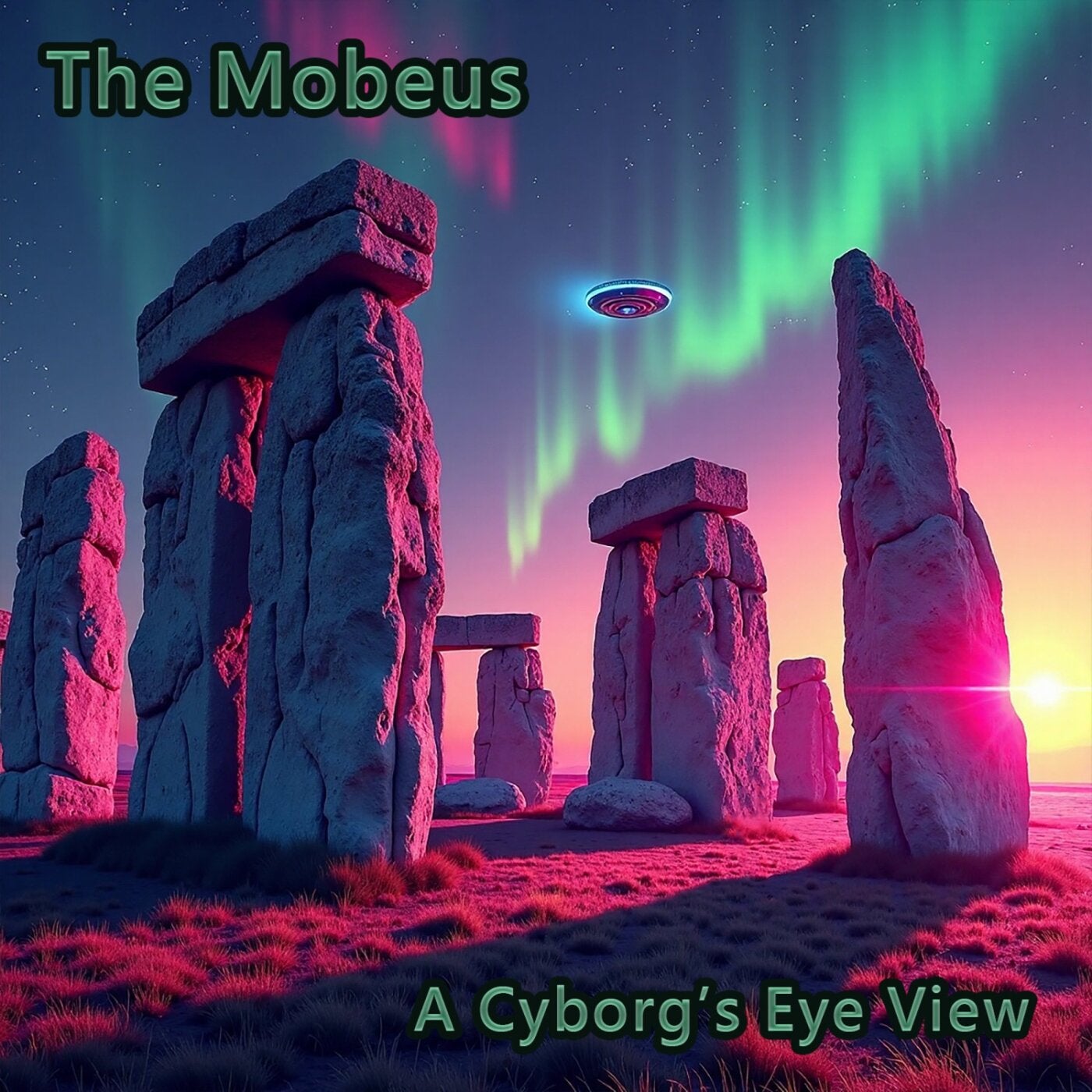 A Cyborg's Eye View