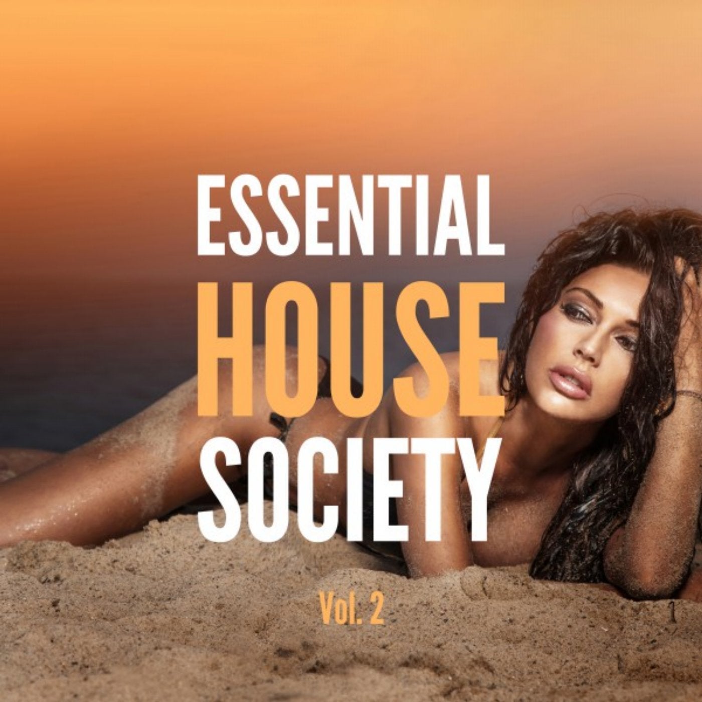 Essential House Society, Vol. 2