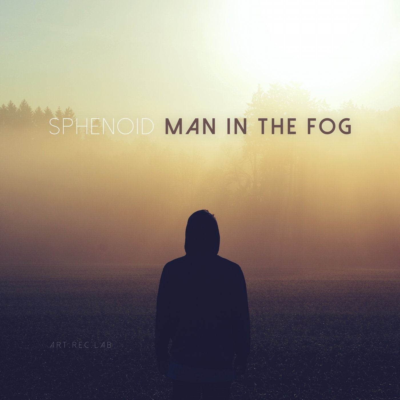 Man in the Fog