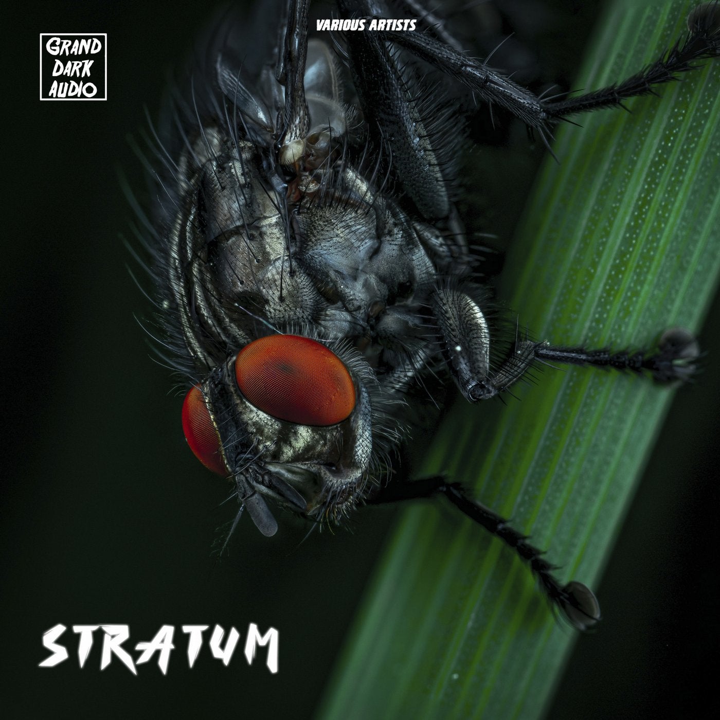 Stratum