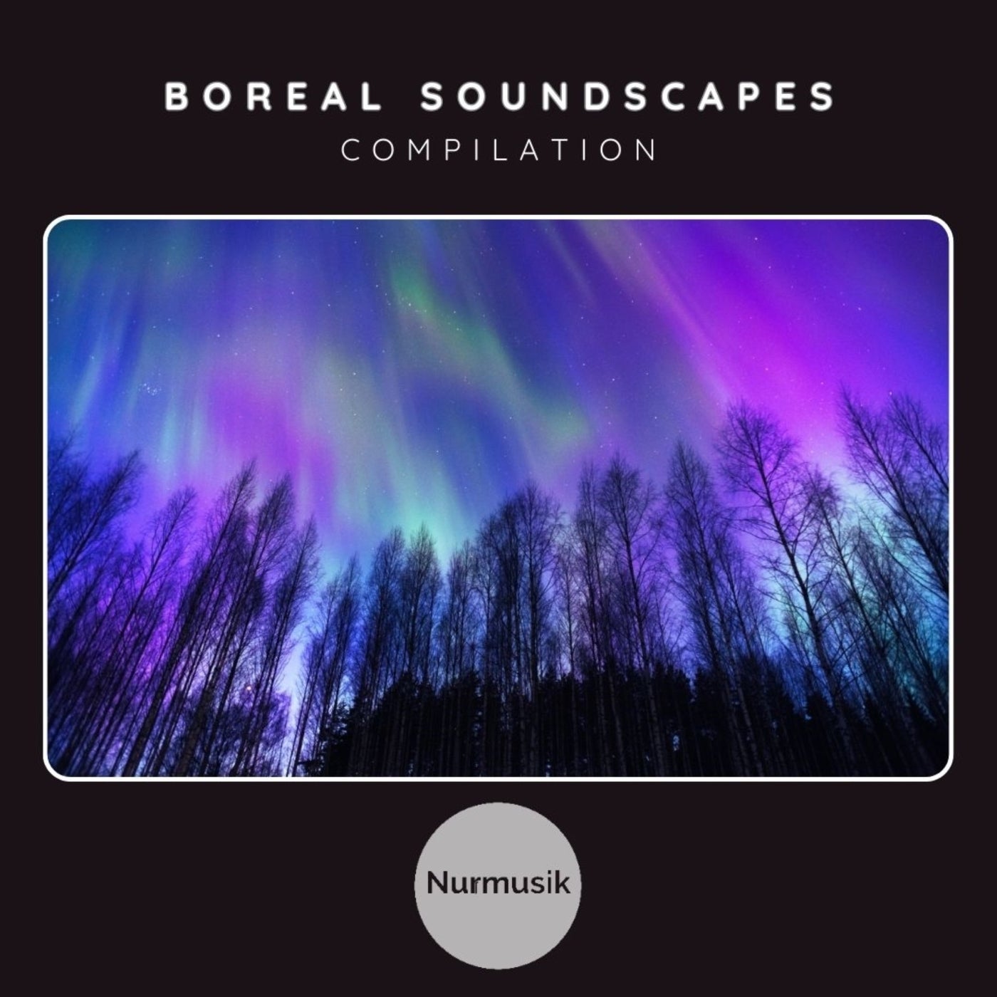 Boreal Soundscapes