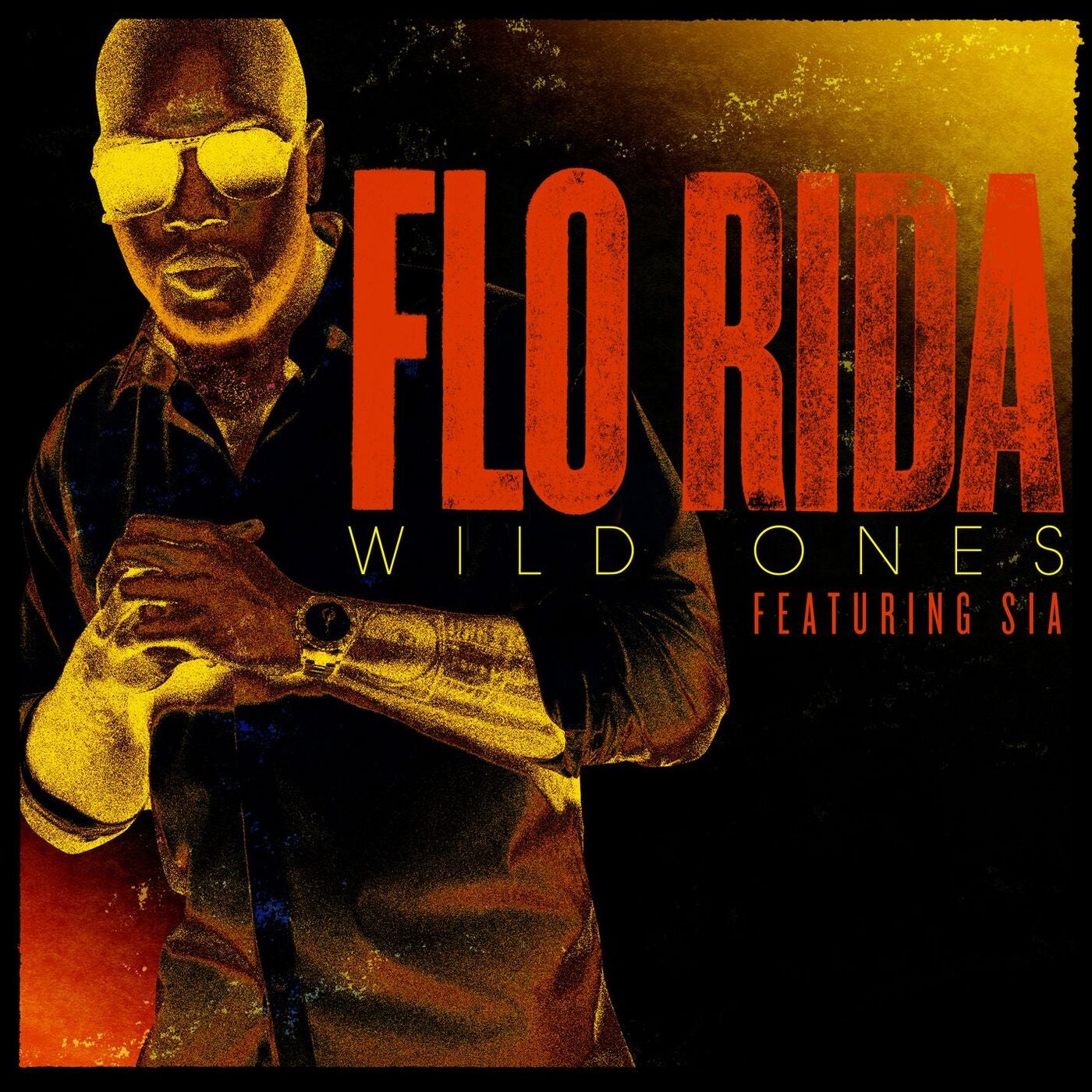 Flo Rida - Wild Ones (feat. Sia) album artwork