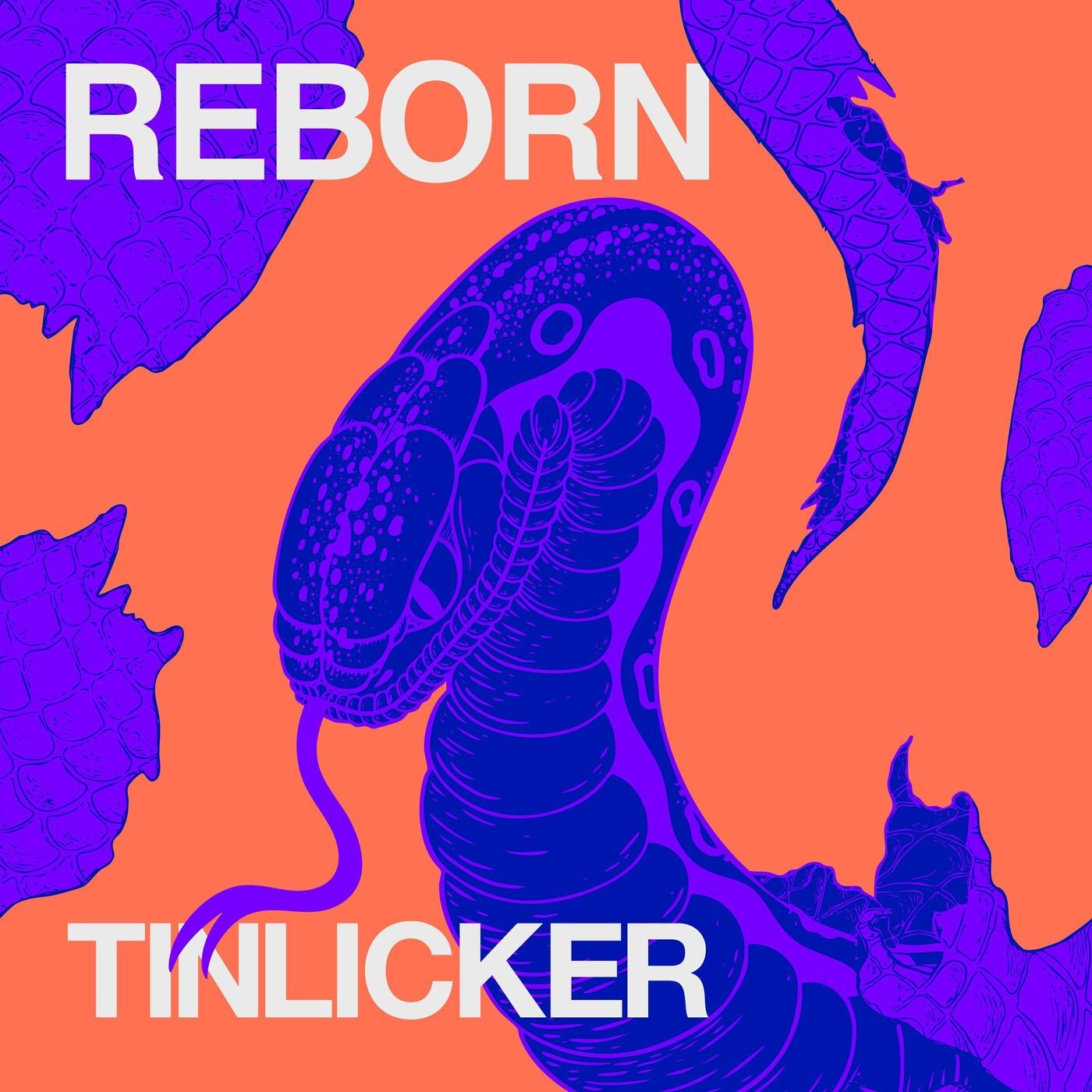 www.beatport.com