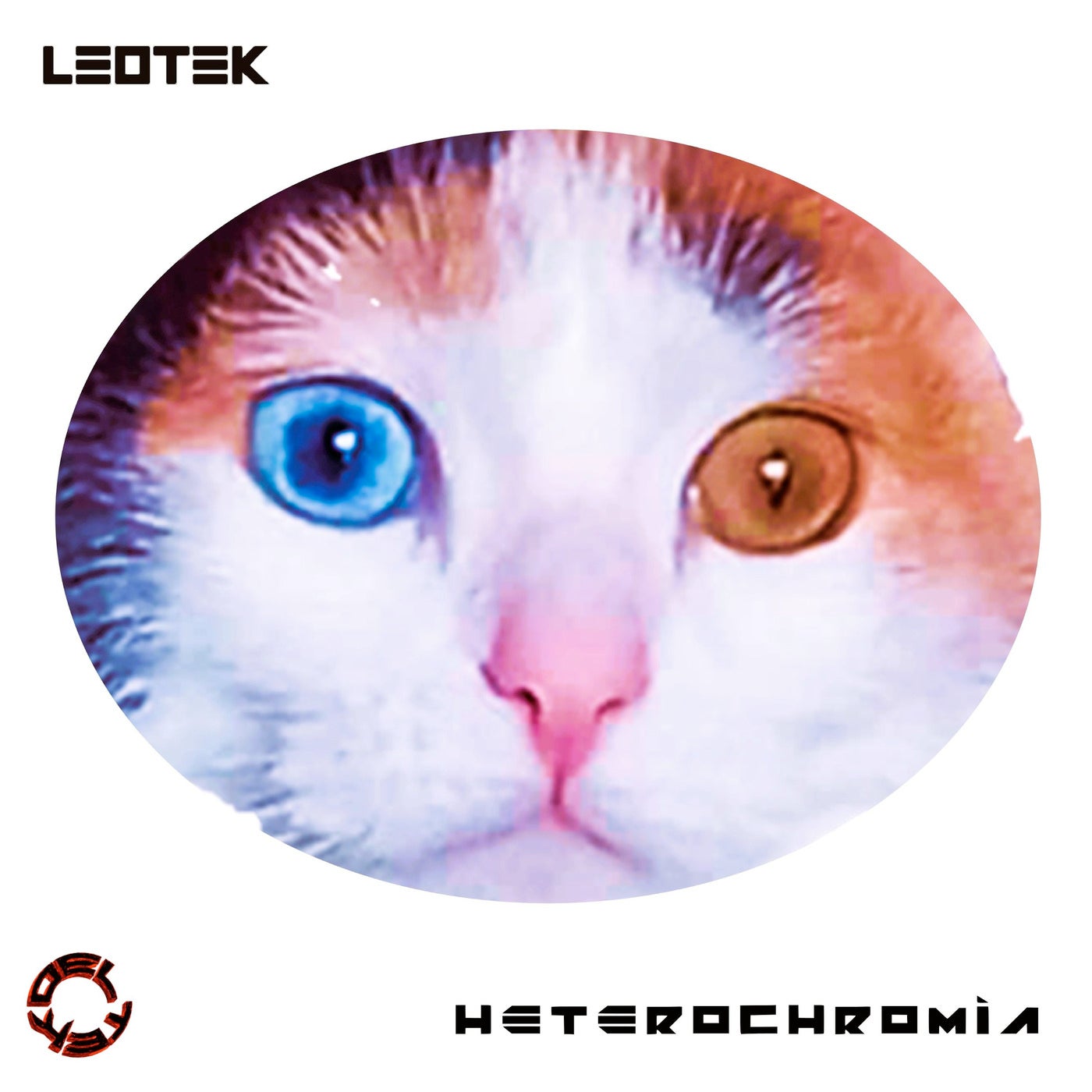 Heterochromia