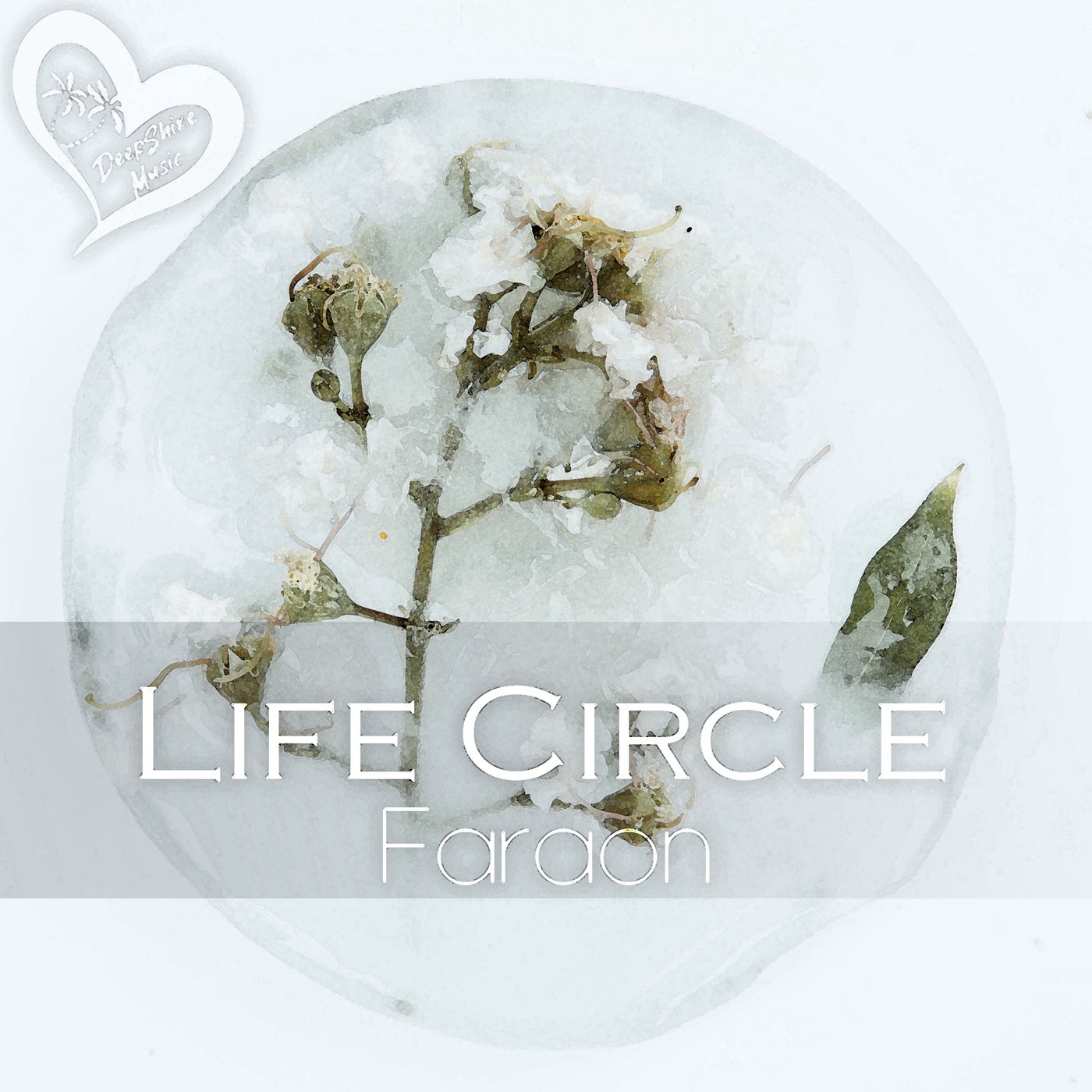 Life Circle