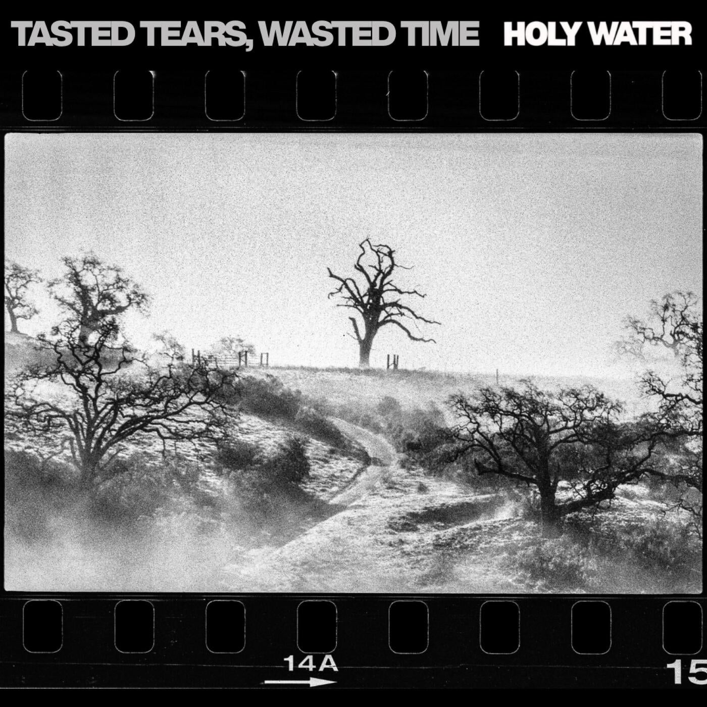 TASTED TEARS, WASTED TIME