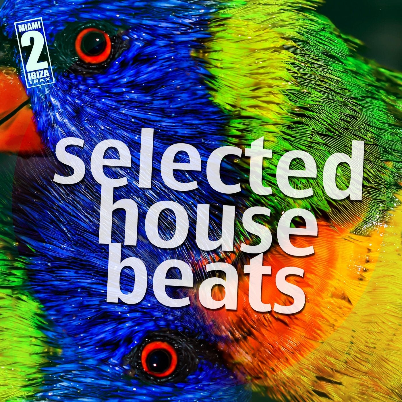 Selected House Beats