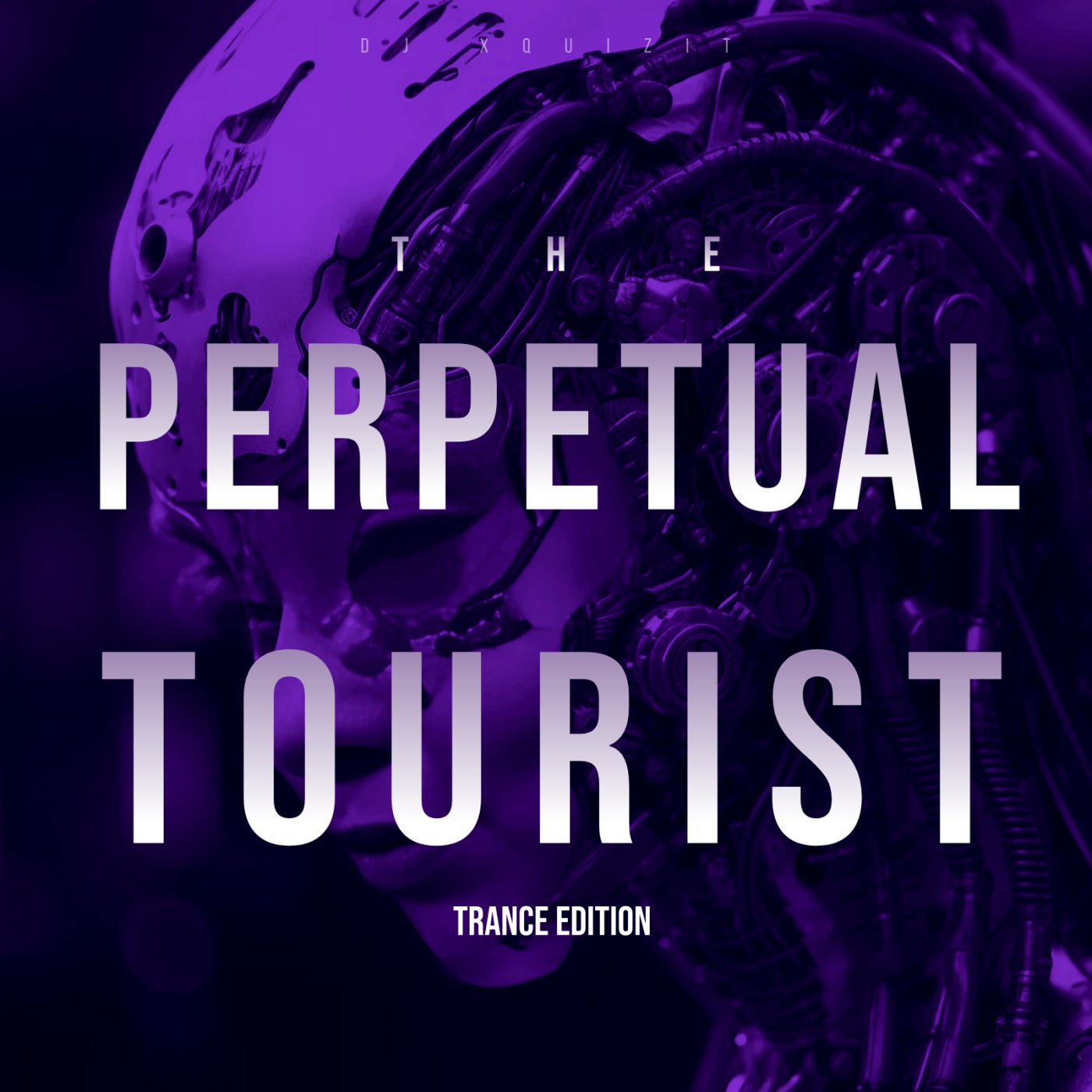 Perpetual Tourist