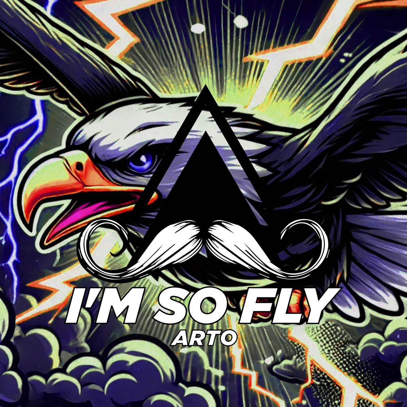 I'm so Fly