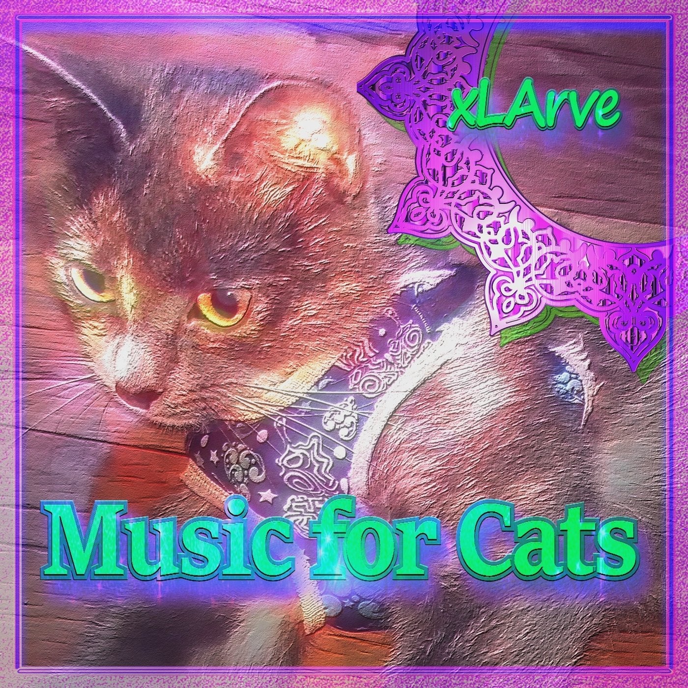 Music for Cats