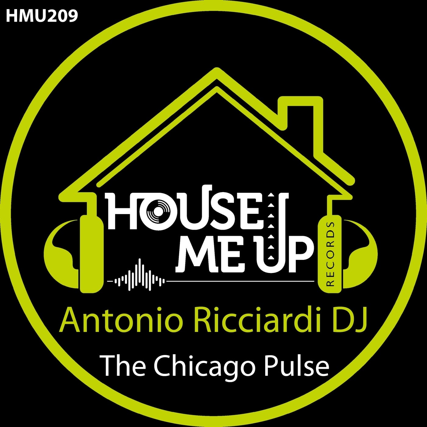The Chicago Pulse