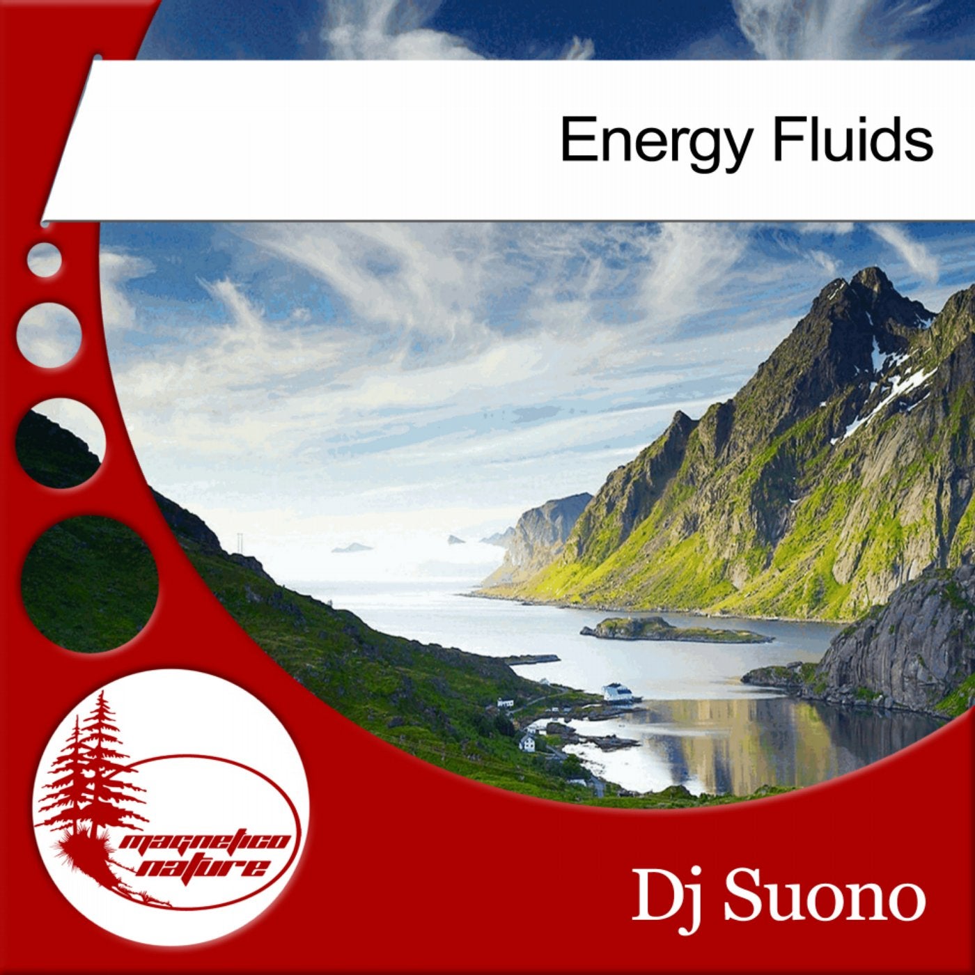 Energy Fluids