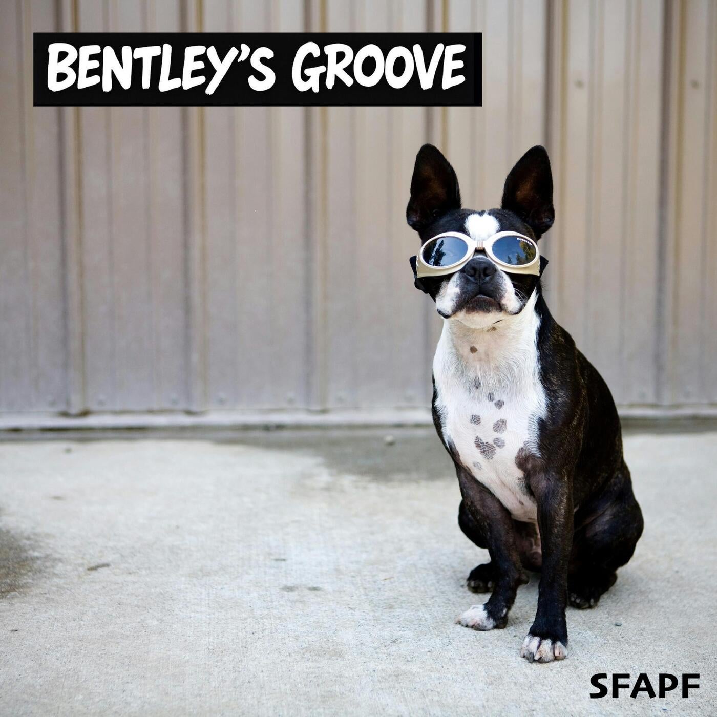 Bentley's Groove