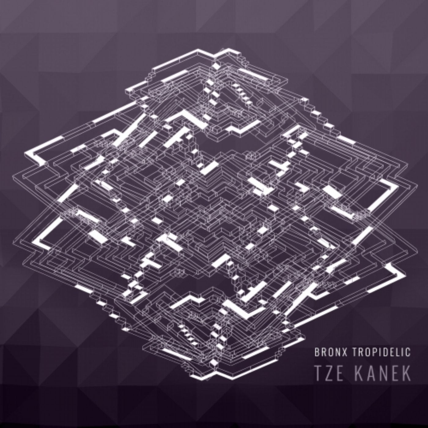 Tze Kanek - Bronx Tropidelic