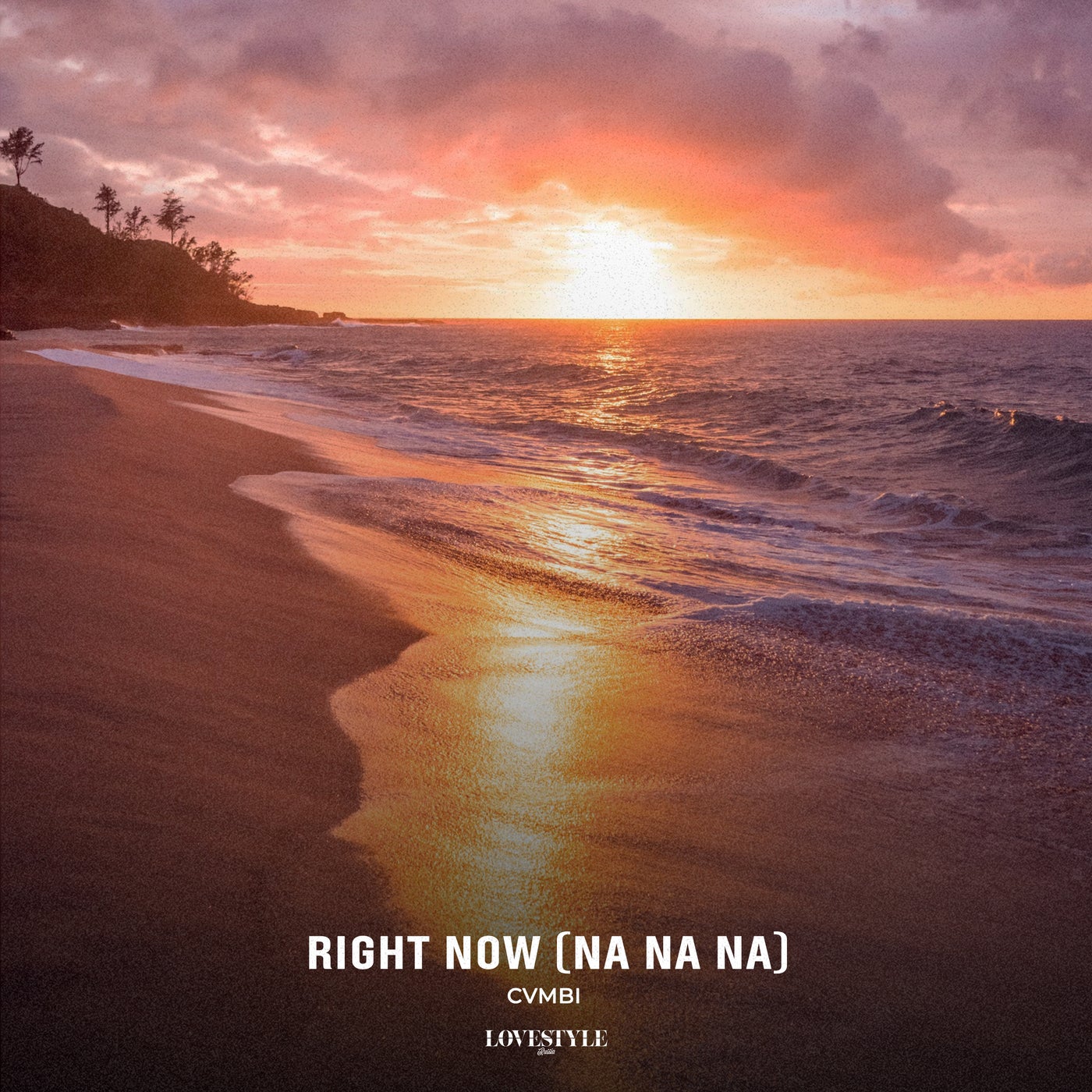 Right Now (Na Na Na)