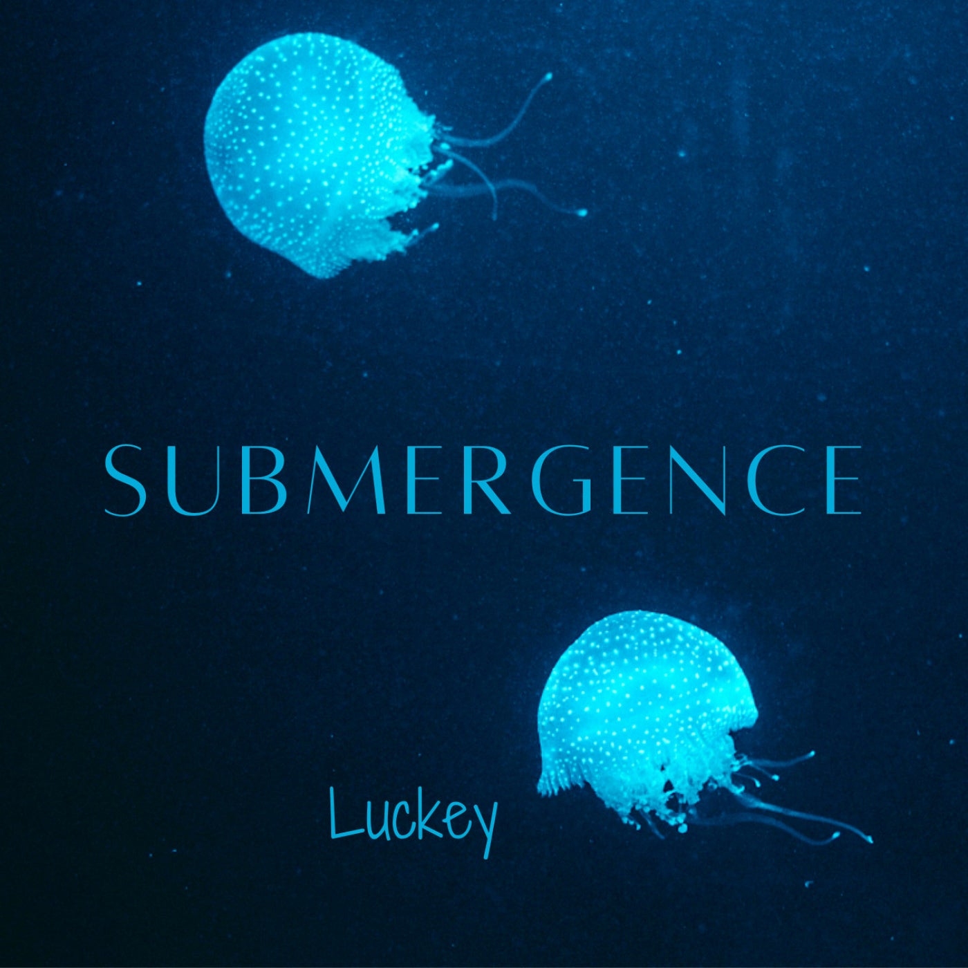 Submergence