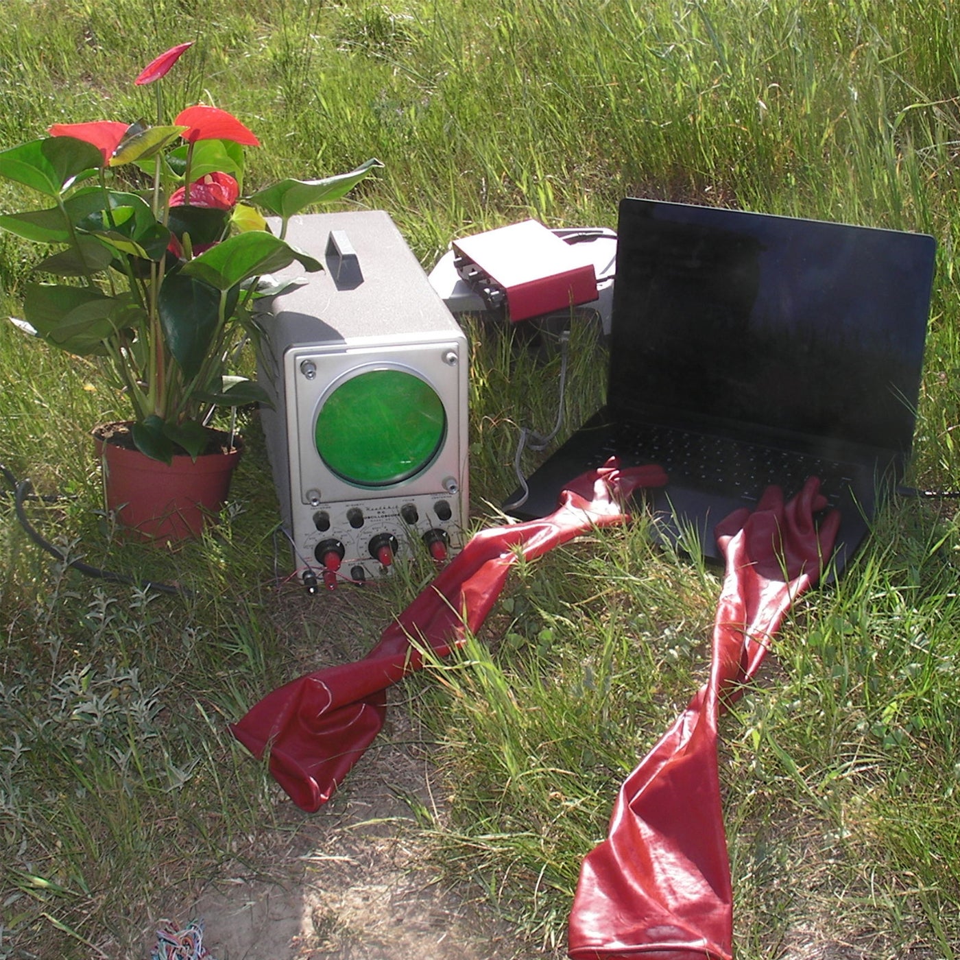 Cover art for Contraband (Kris Baha Remix)