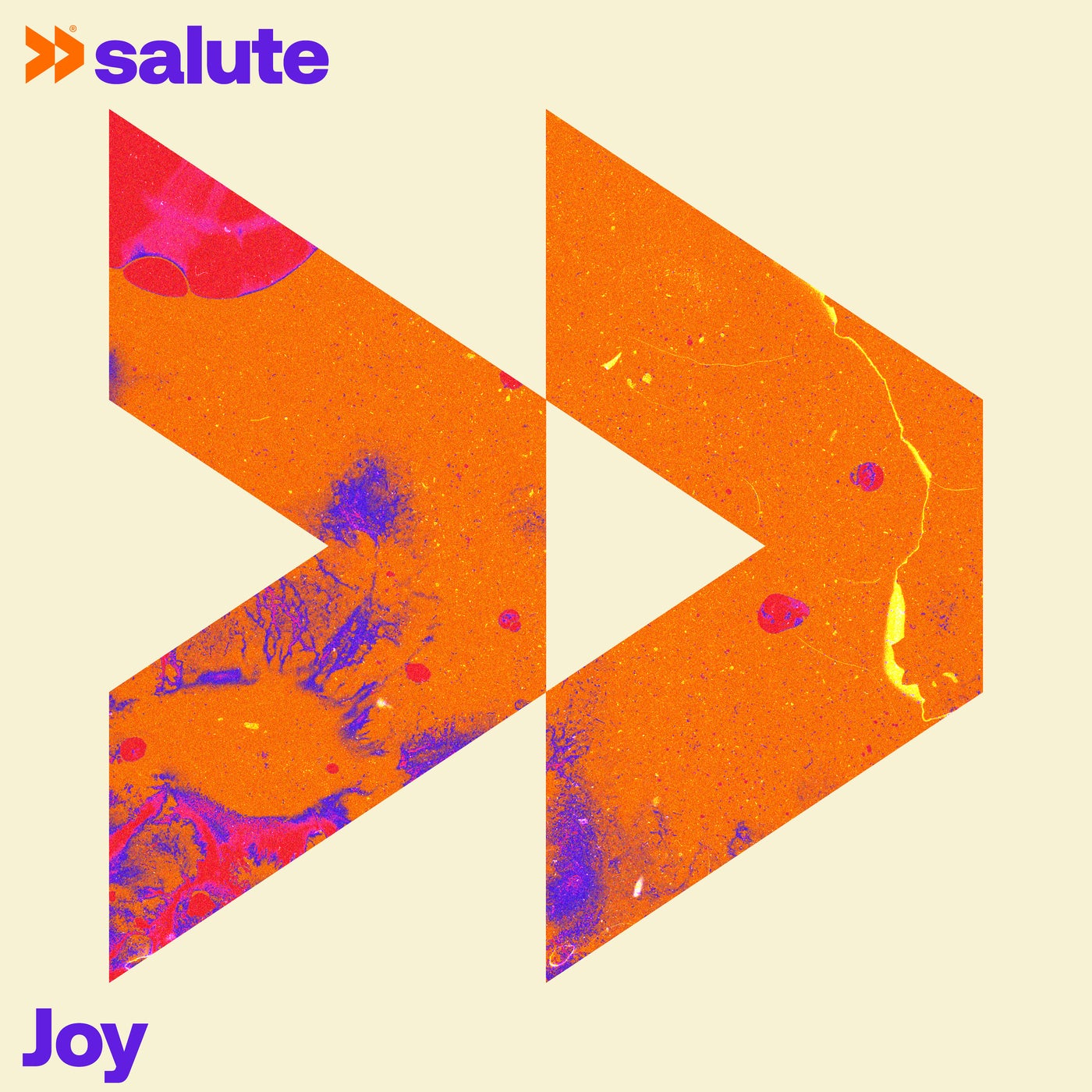 Joy (Extended)