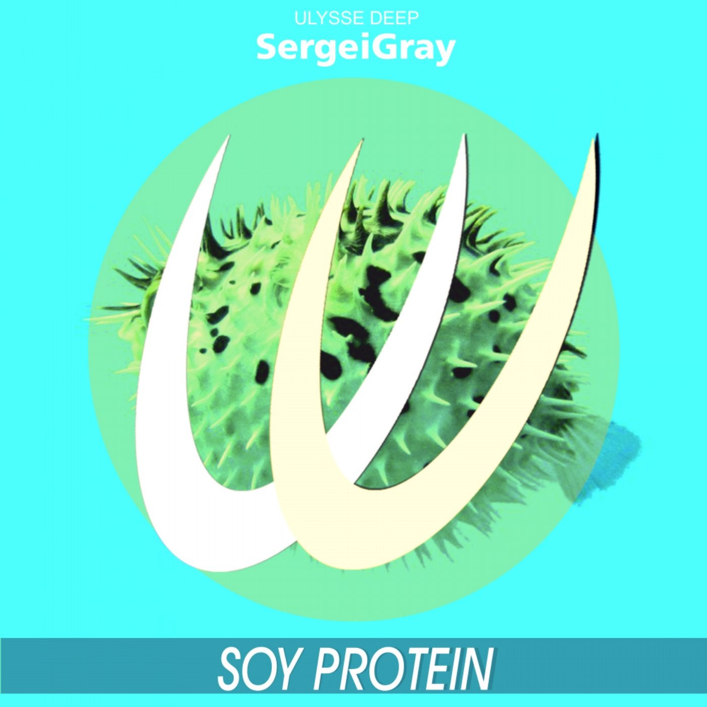 Soy Protein