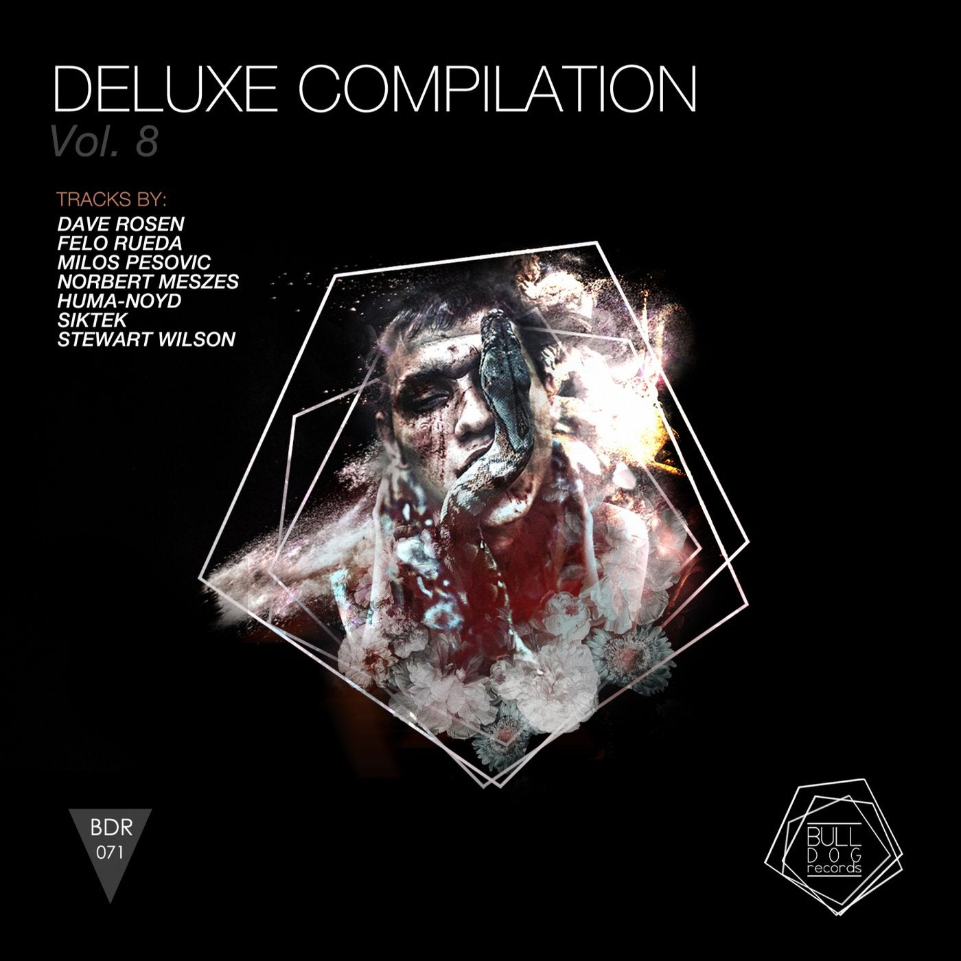 Deluxe Compiled Vol.8