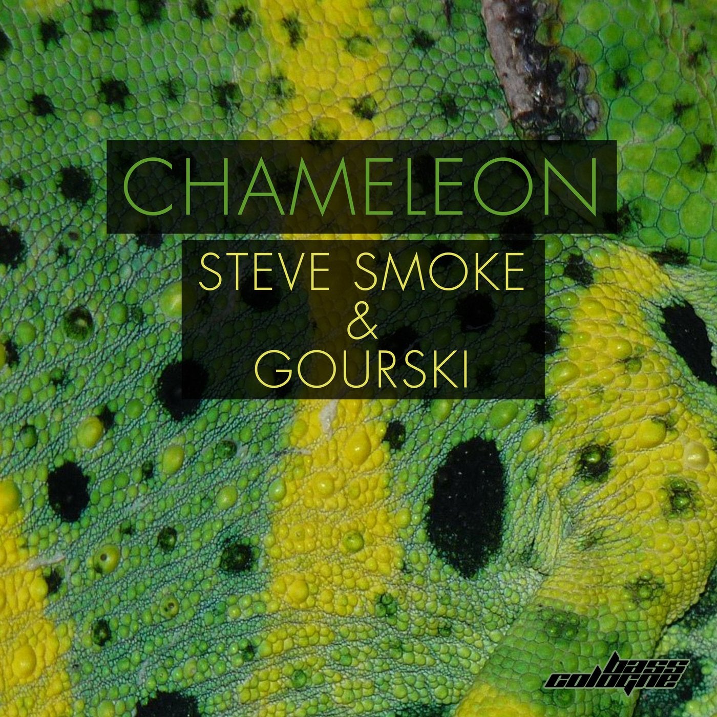 Chameleon