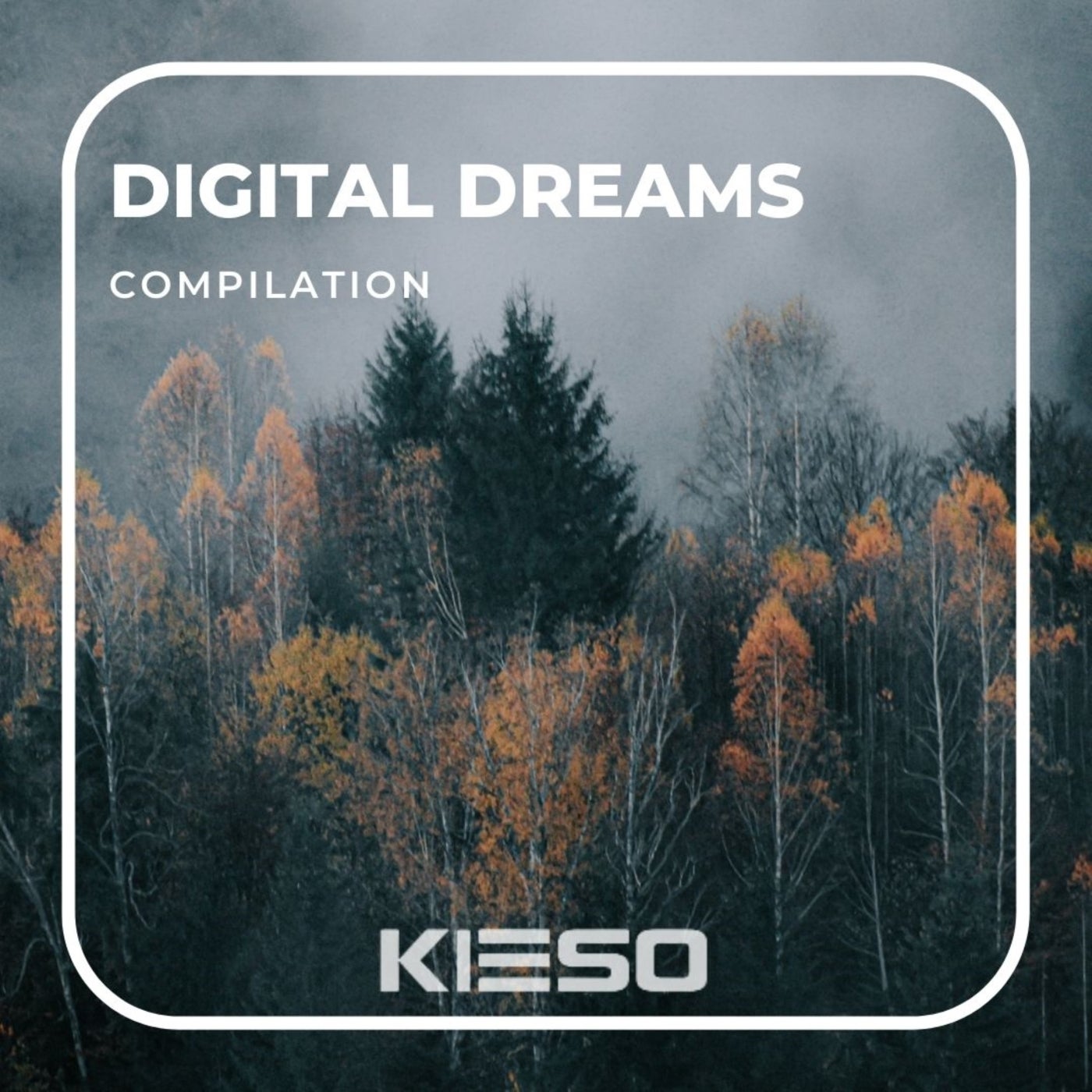 Digital Dreams