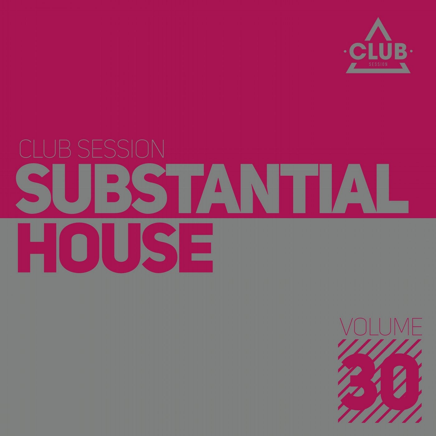 Substantial House Vol. 30