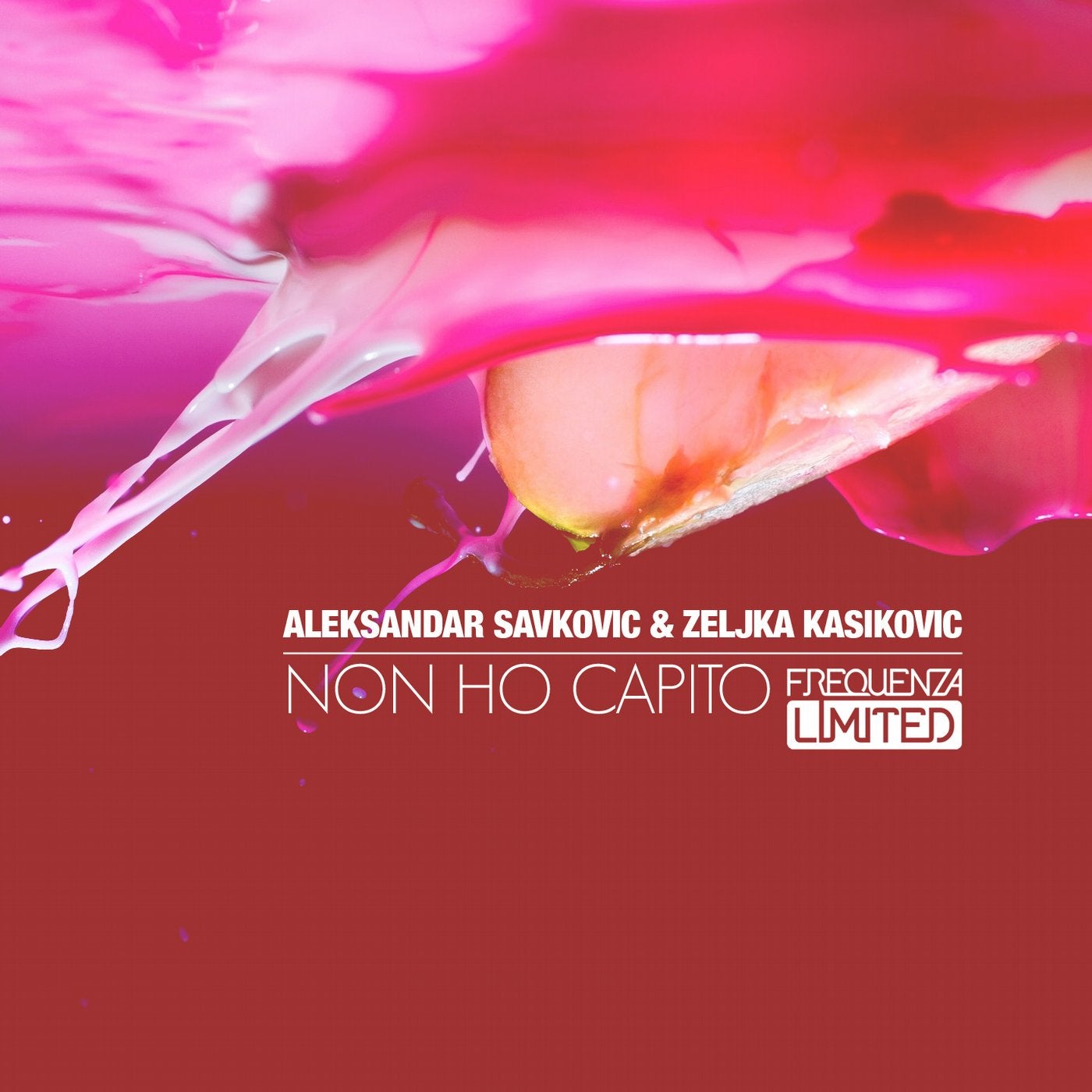 Non Ho Capito