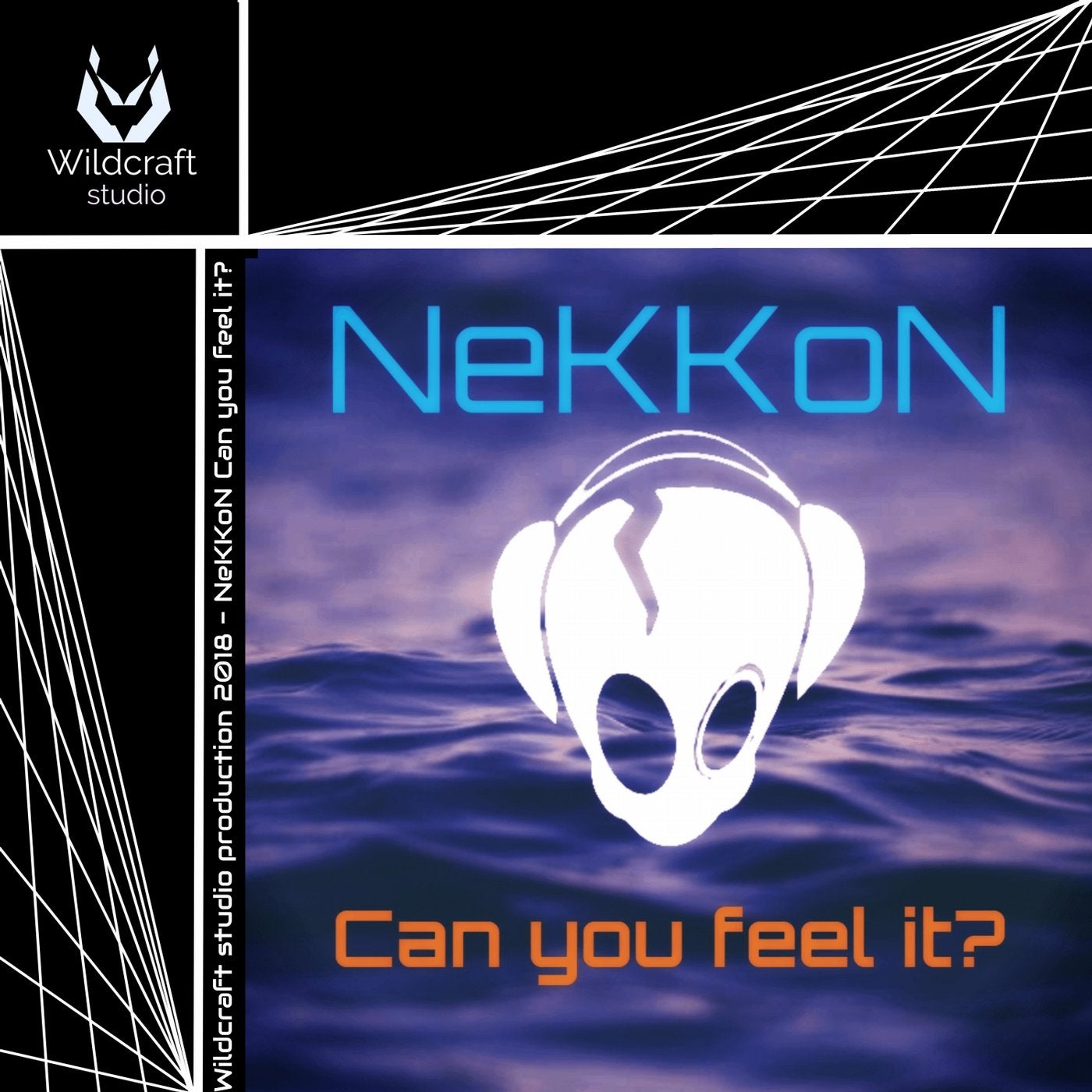 Can You Feel It