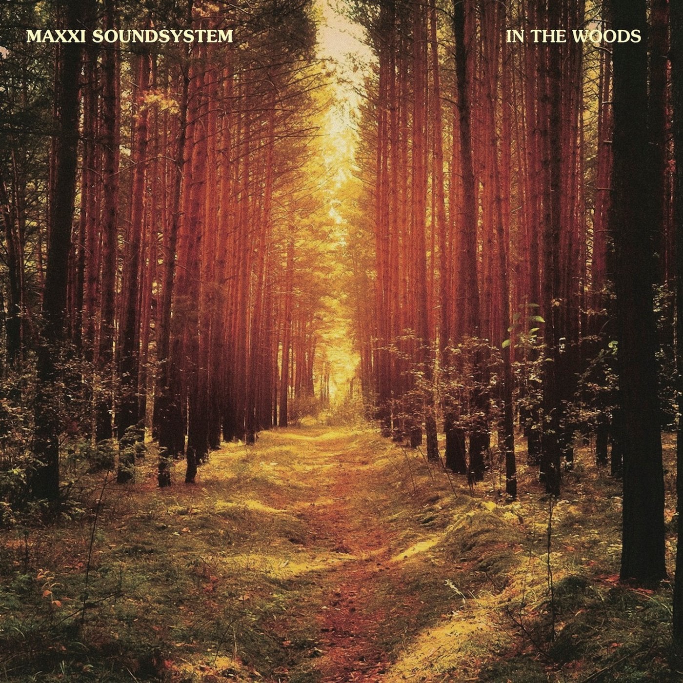 Woods ost. In the Woods Maxxis. In the Woods MAXXI Sound System. In the Woods MAXXI.