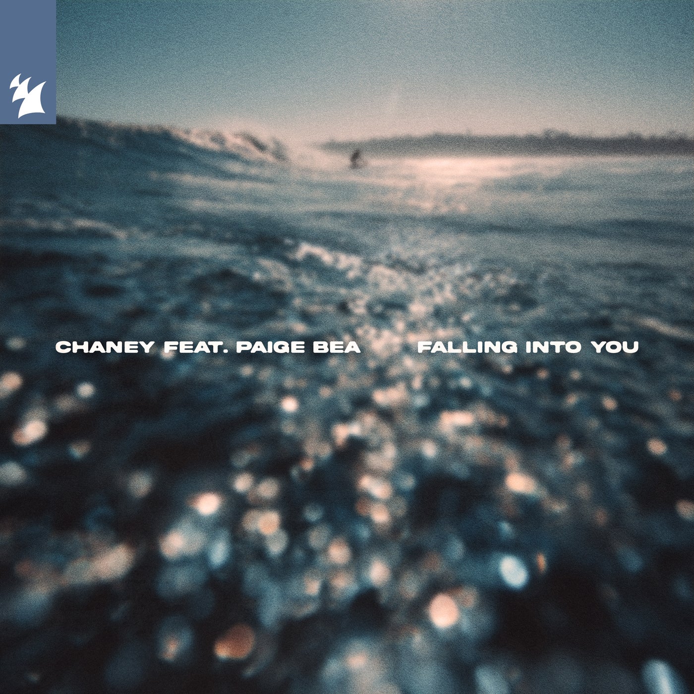 Cover art for Falling Into You