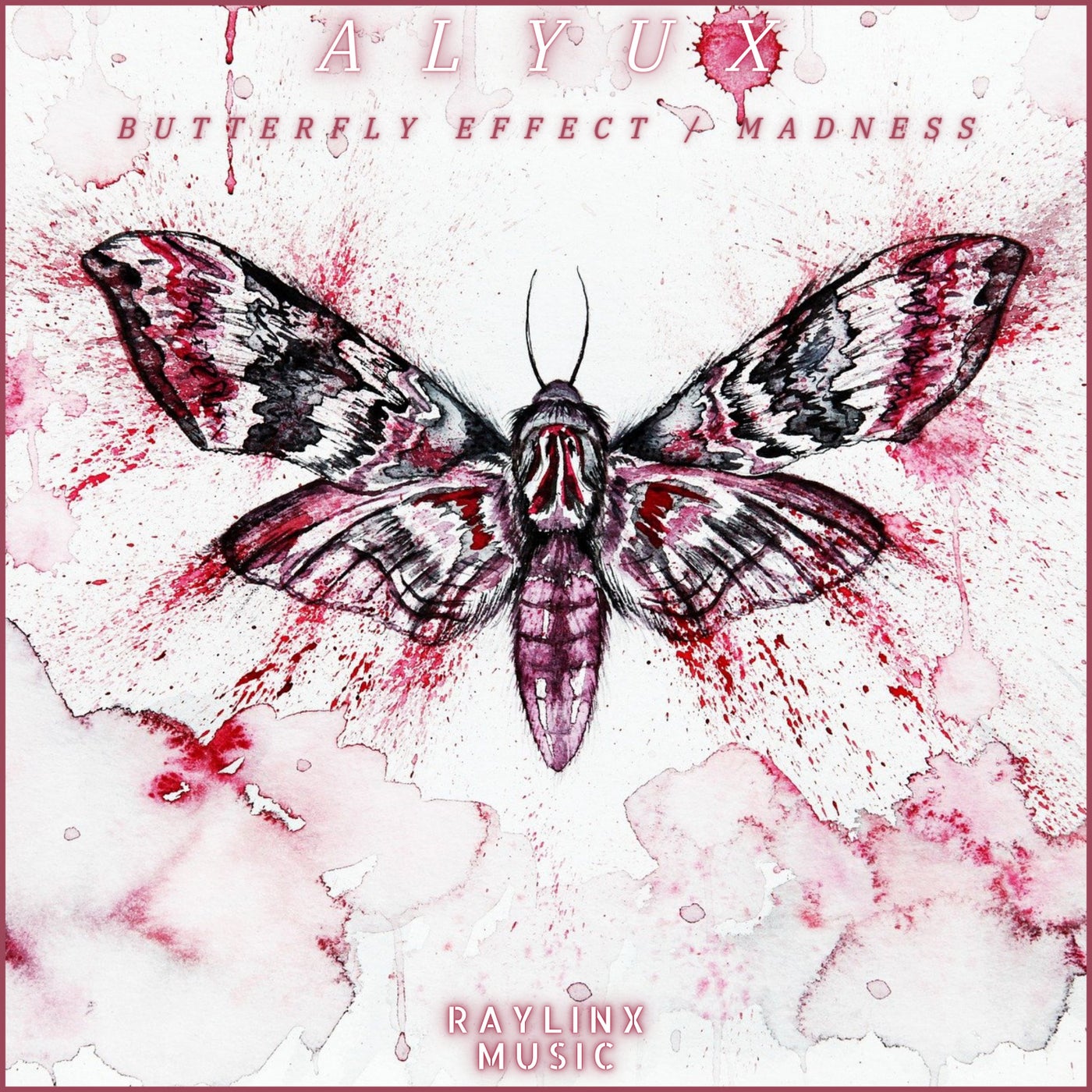 Butterfly Effect / Madness