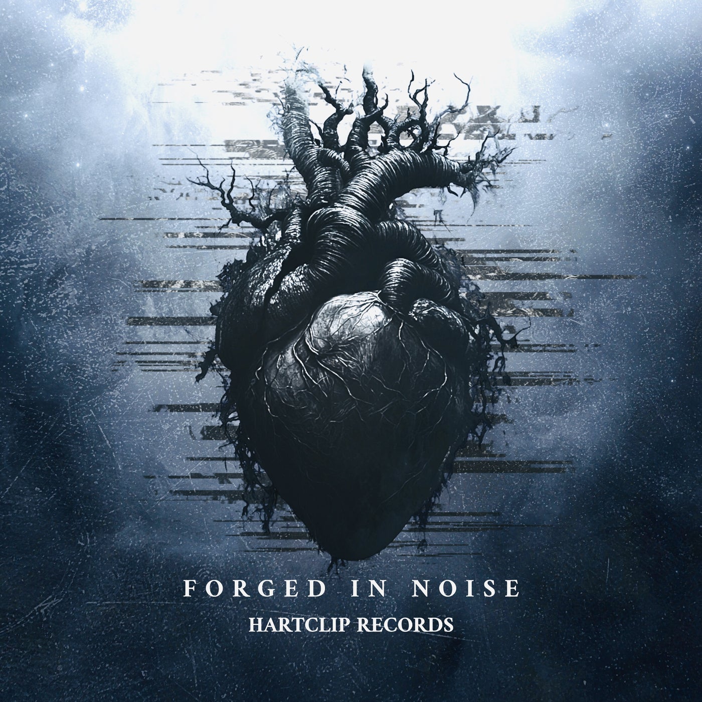 Forged In Noise