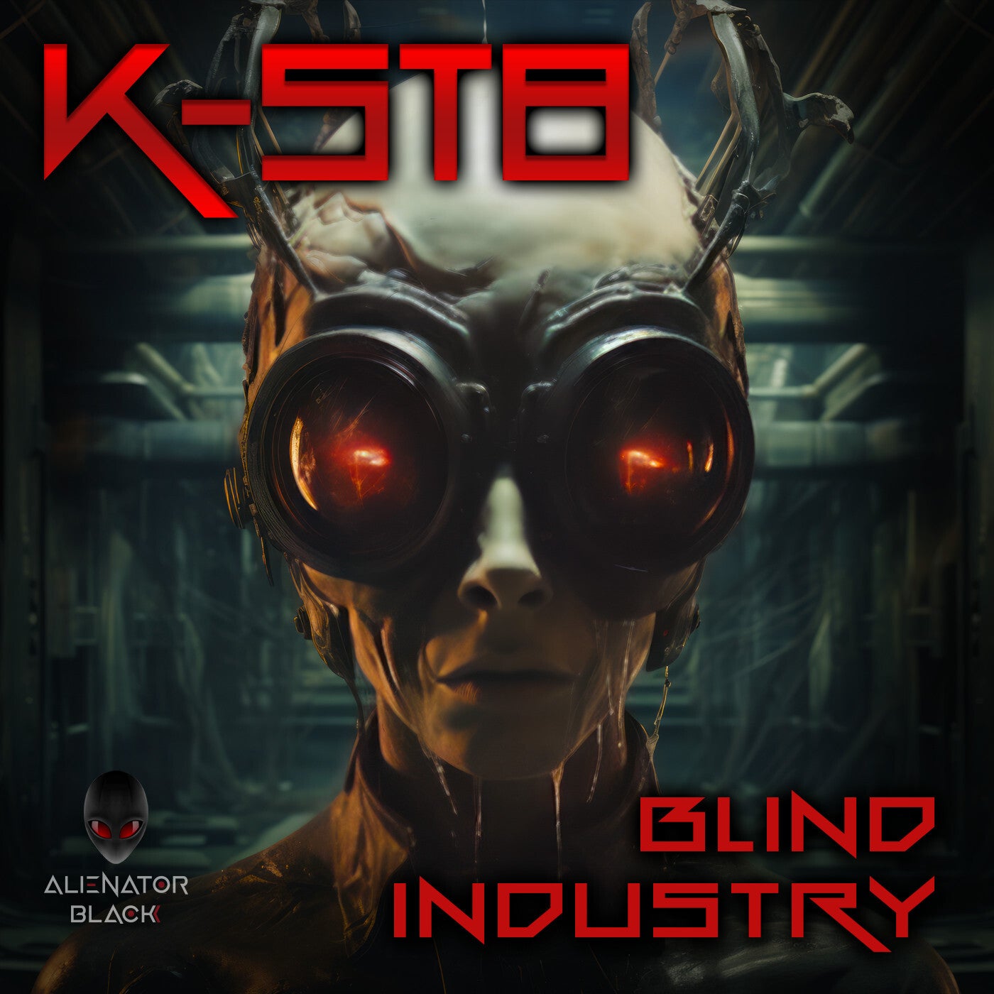 Blind Industry