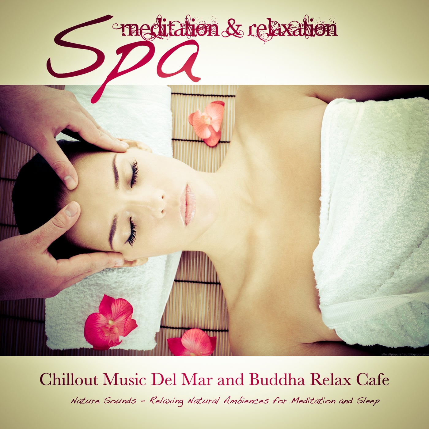 Spa: Meditation & Relaxation (Relaxing Natural Ambiences for Meditation and Sleep) [Chillout Music Del Mar and Buddha Relax Cafe]