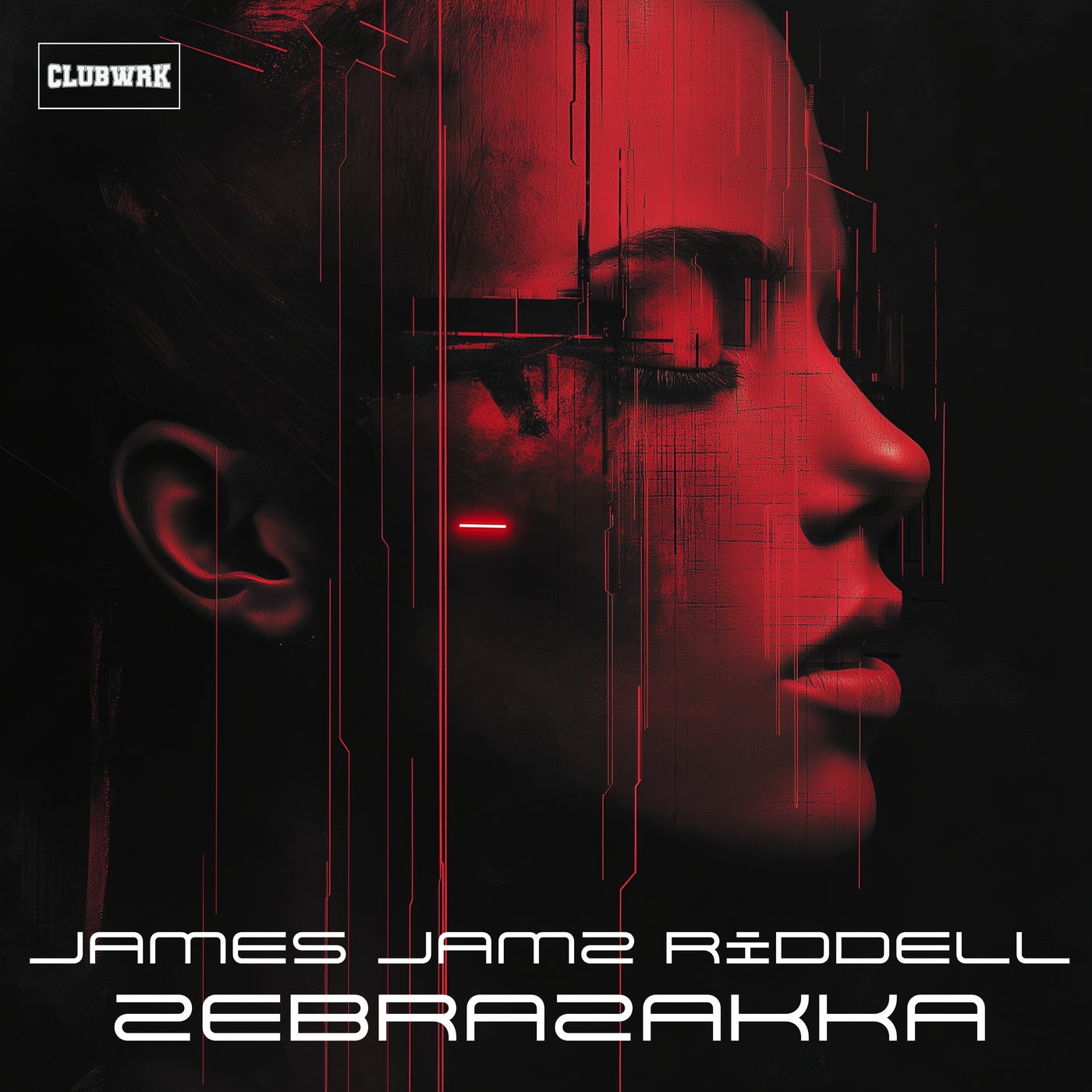 ZebraZakka - Extended Mix