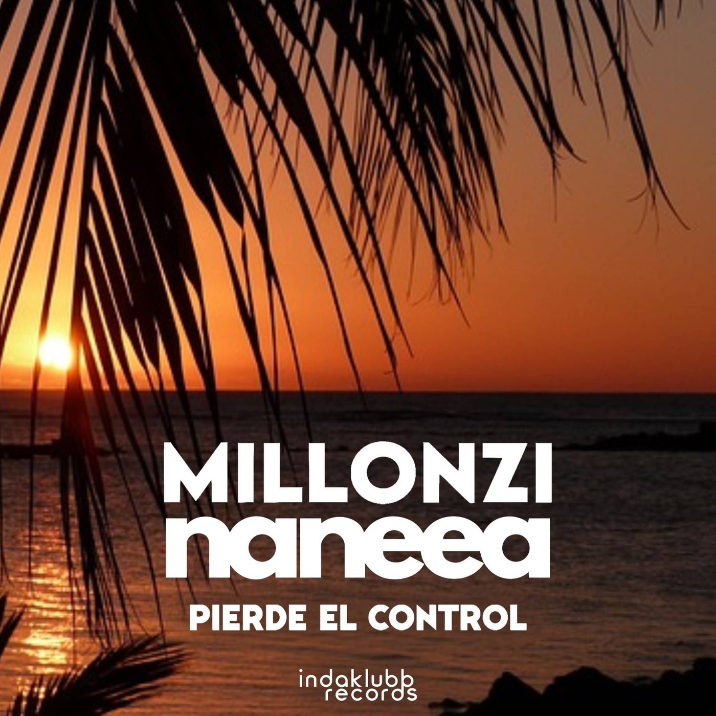 Pierde El Control