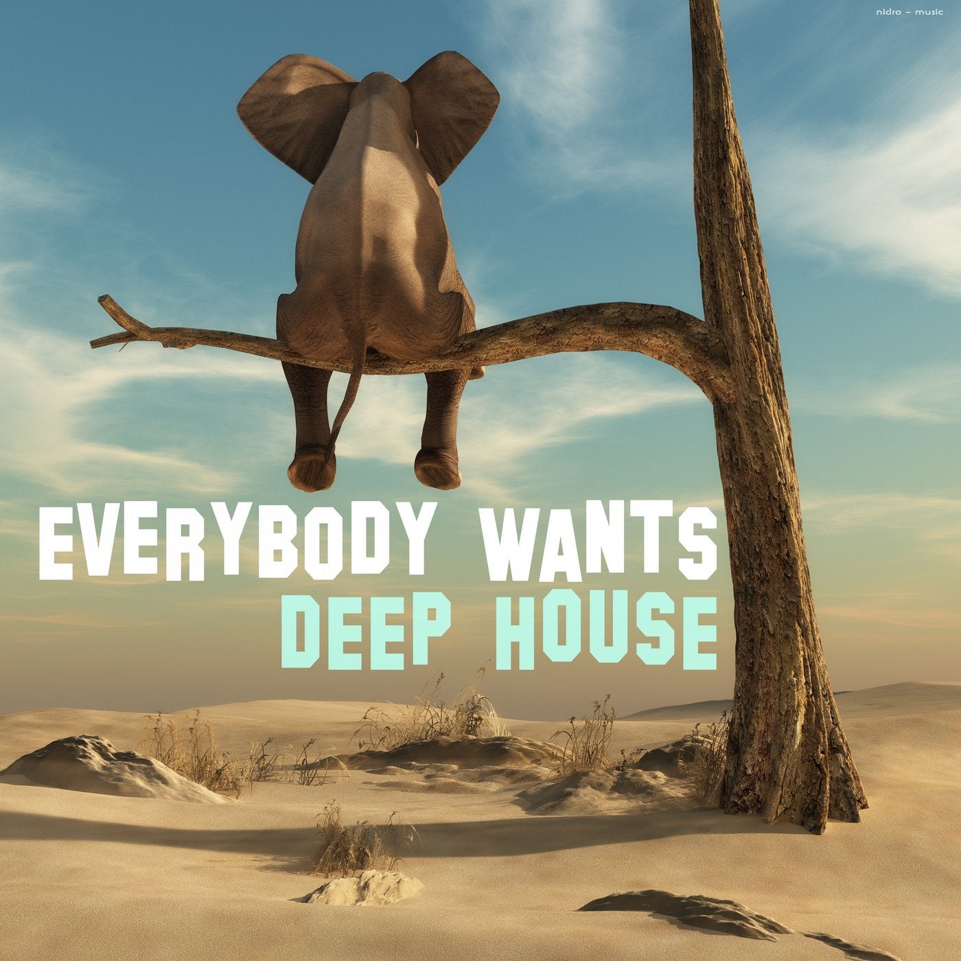 Everybody Wants Deep House