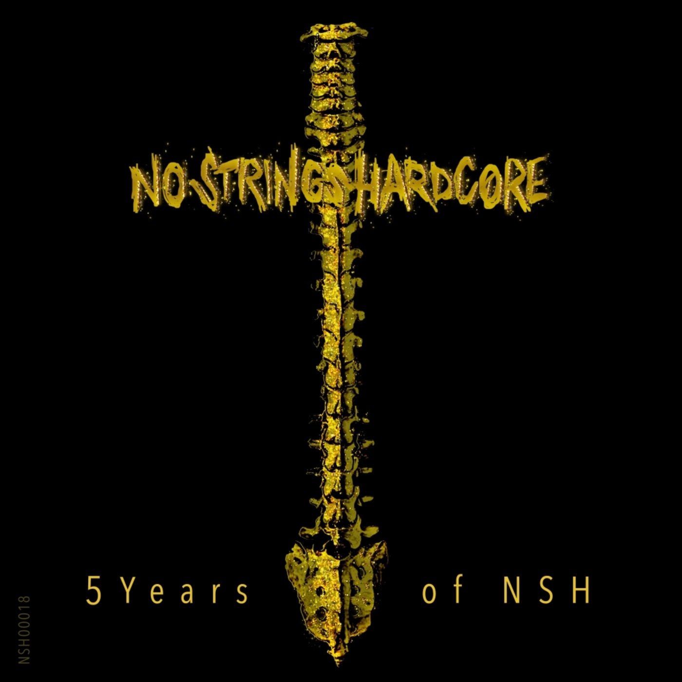 5 Years Of NSH