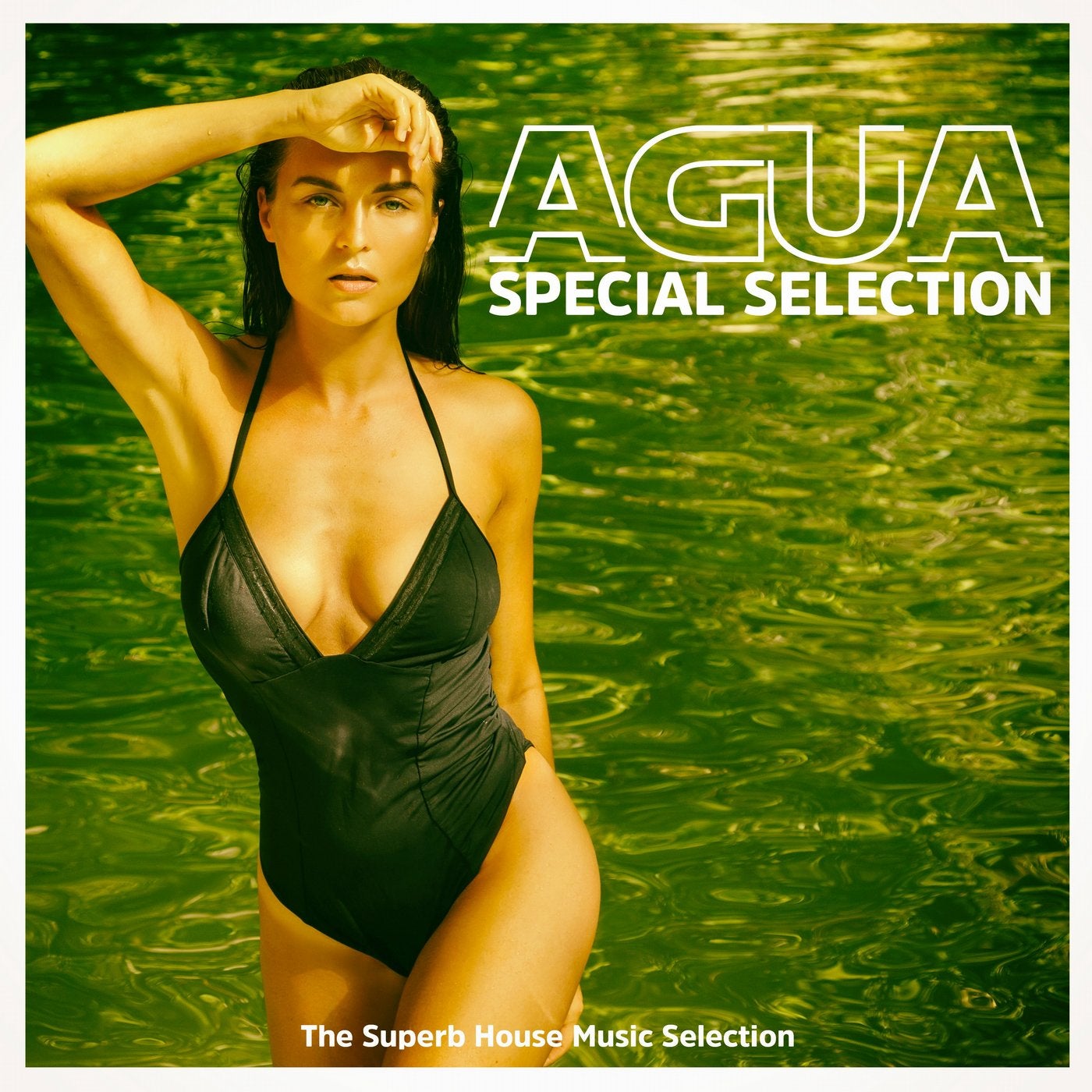 Agua (The Superb House Music Selection)