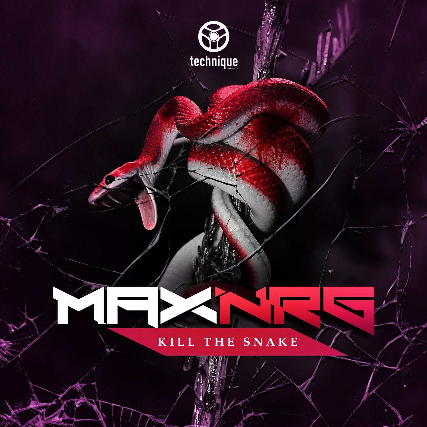 Maxnrg - Kill The Snake