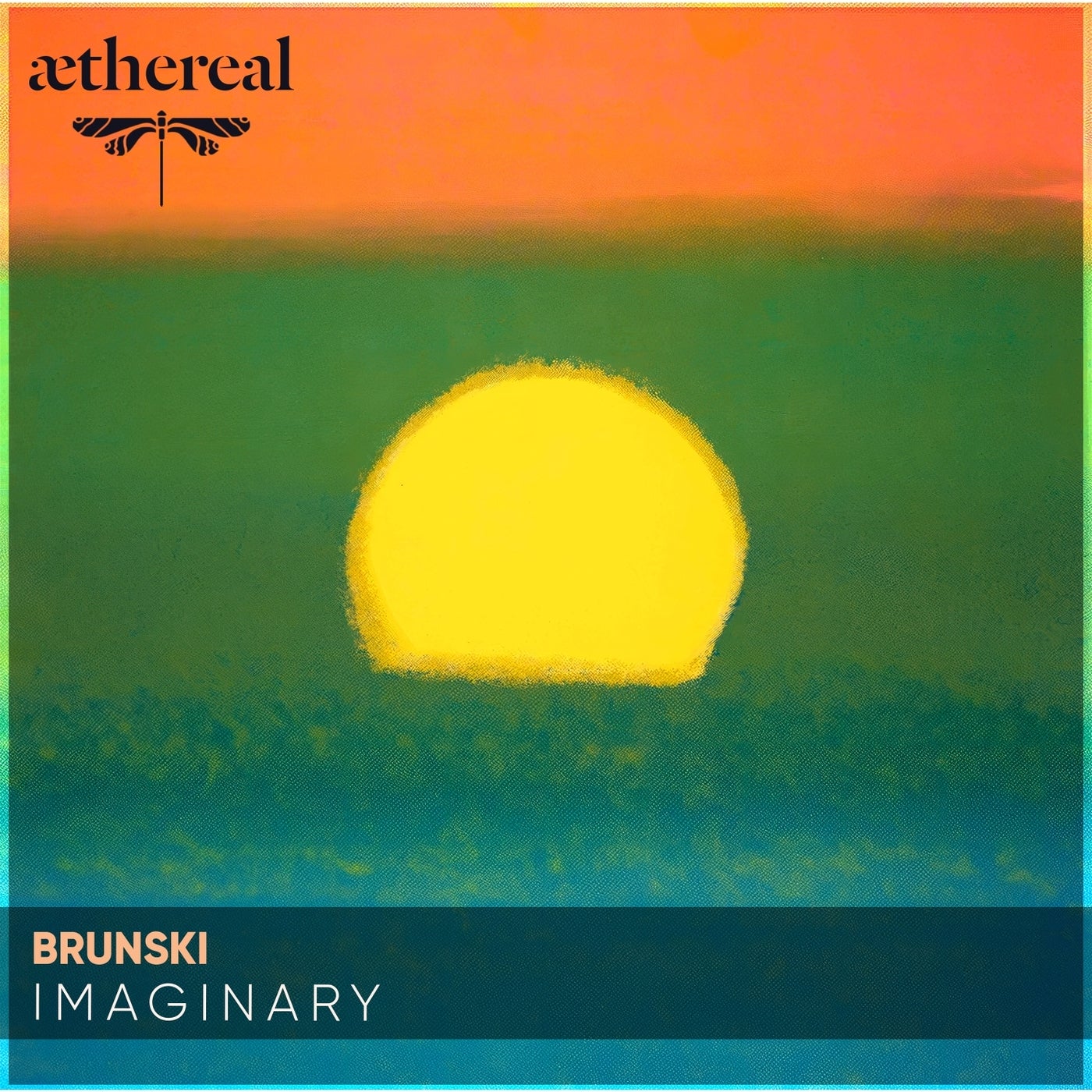 Imaginary