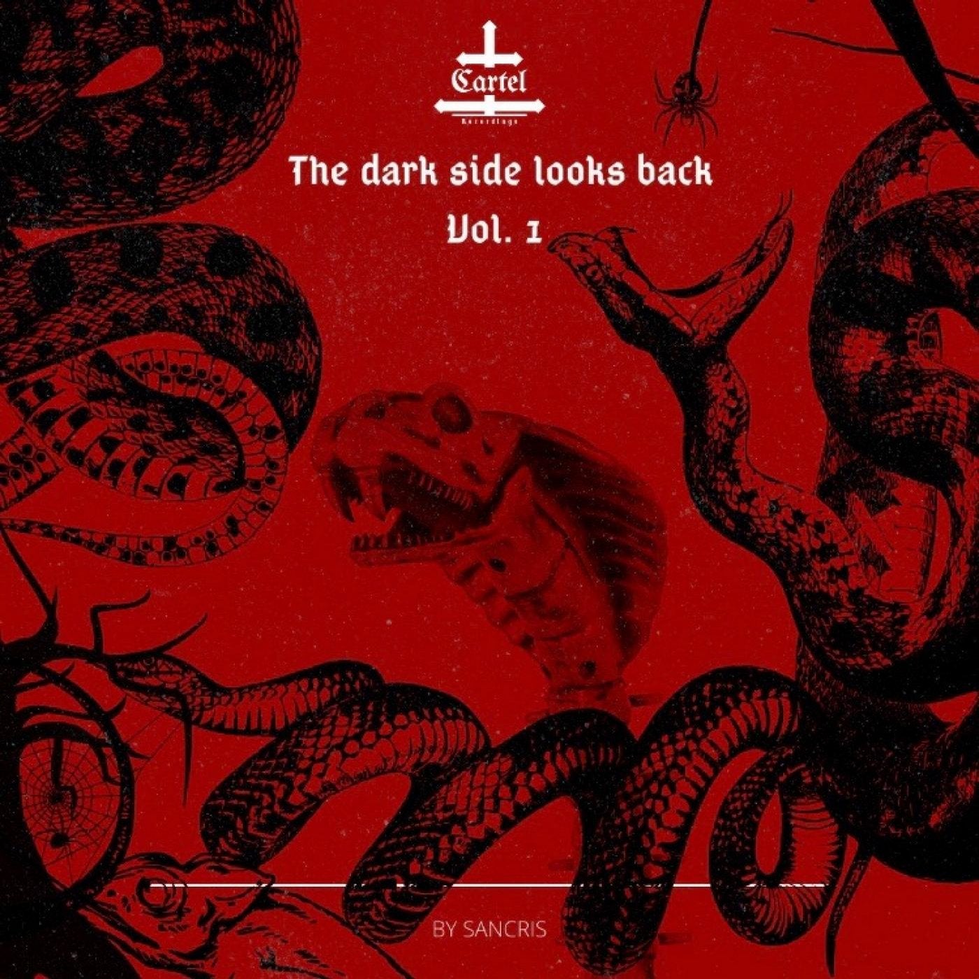 THE DARK SIDE LOOKS BACK - Vol. 1