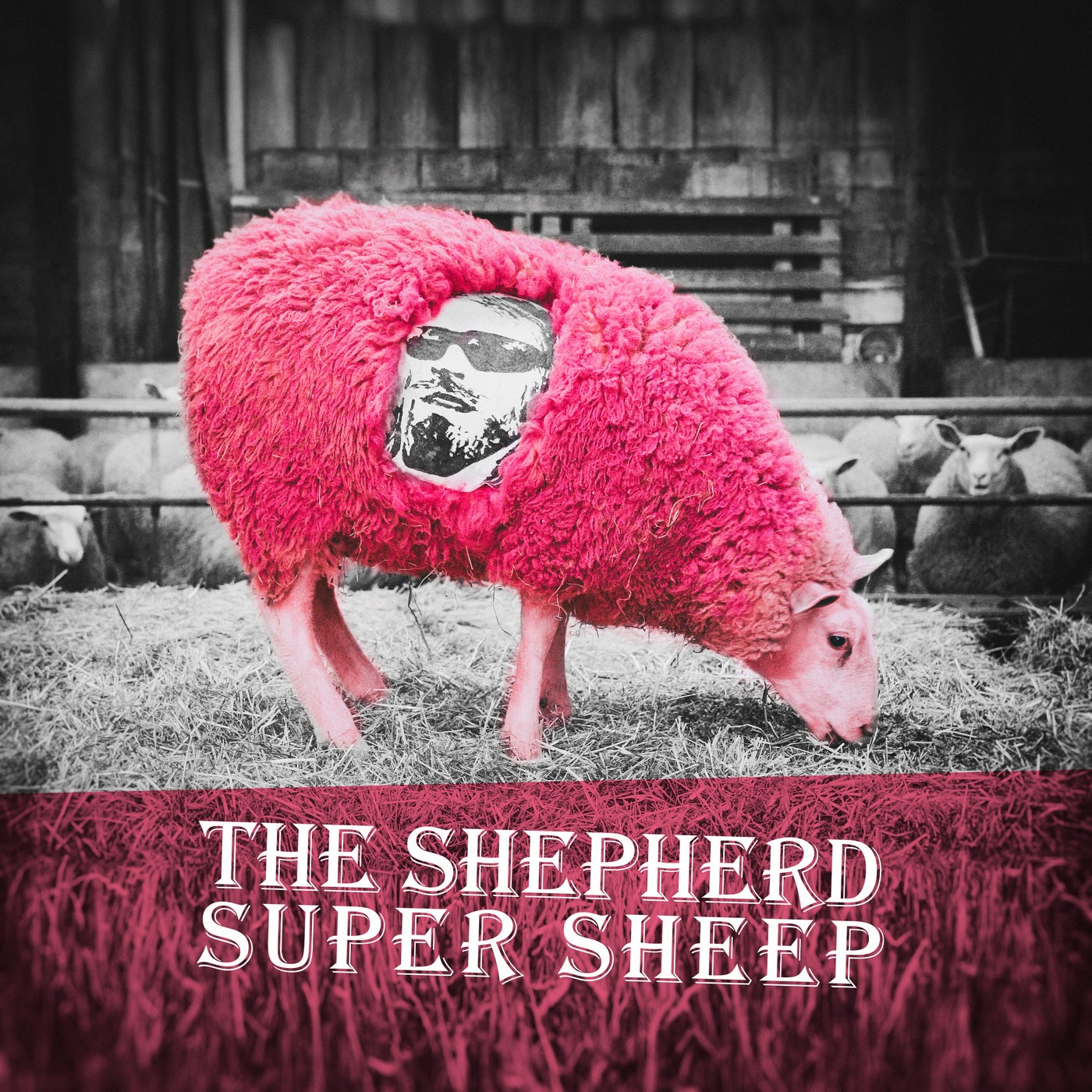 Super Sheep