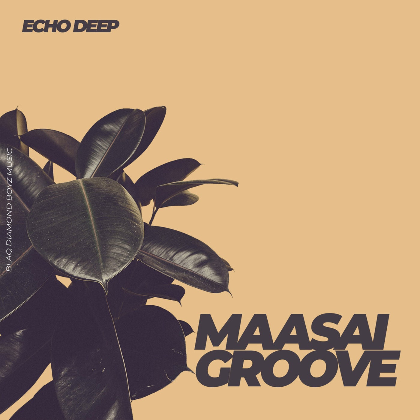 Maasai Groove (Original Mix)