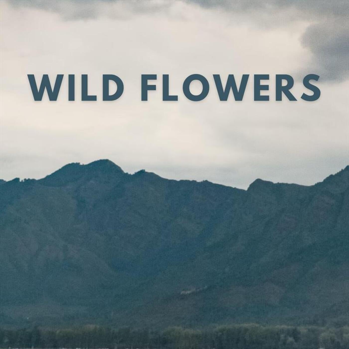 Wild Flowers