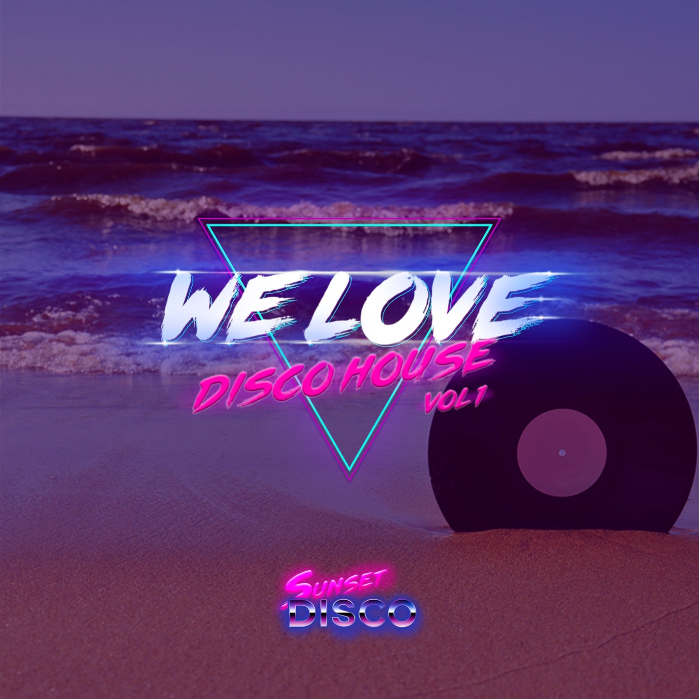 We Love Disco House Vol. 1 SSDCOMP020
