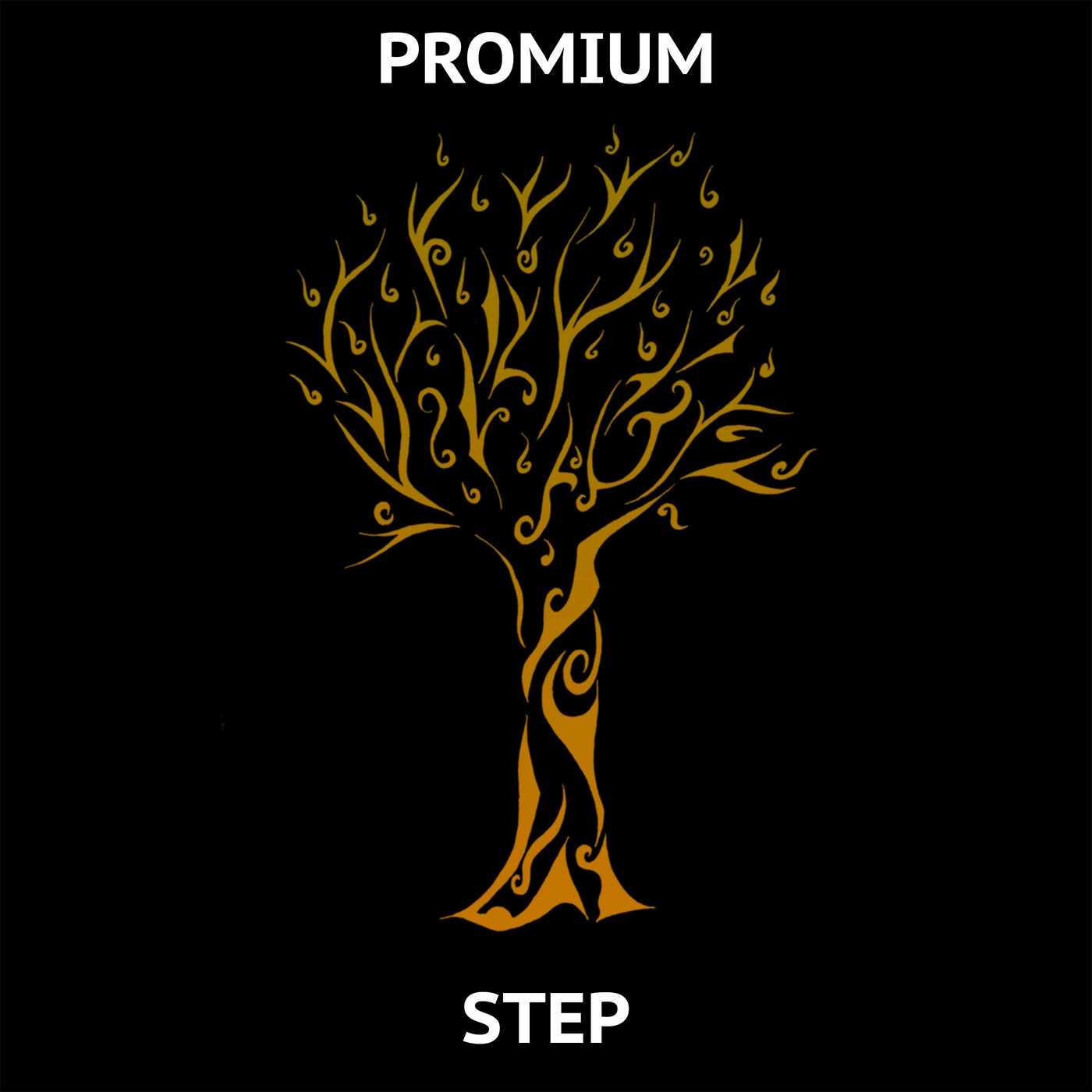 Step