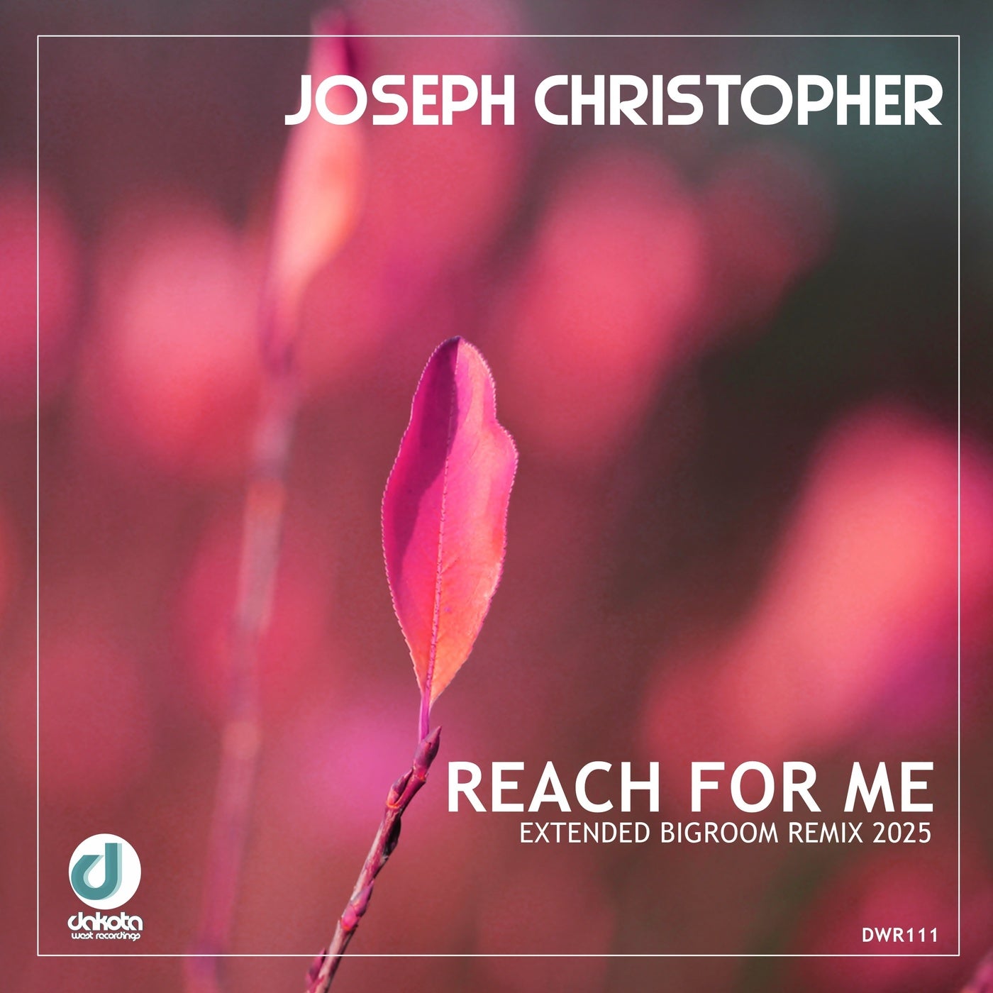 Reach for Me