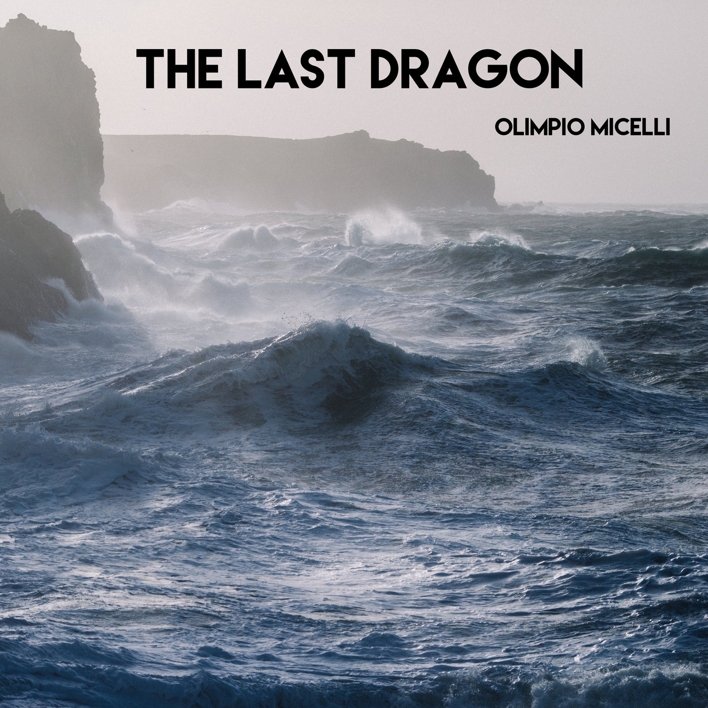 The Last Dragon